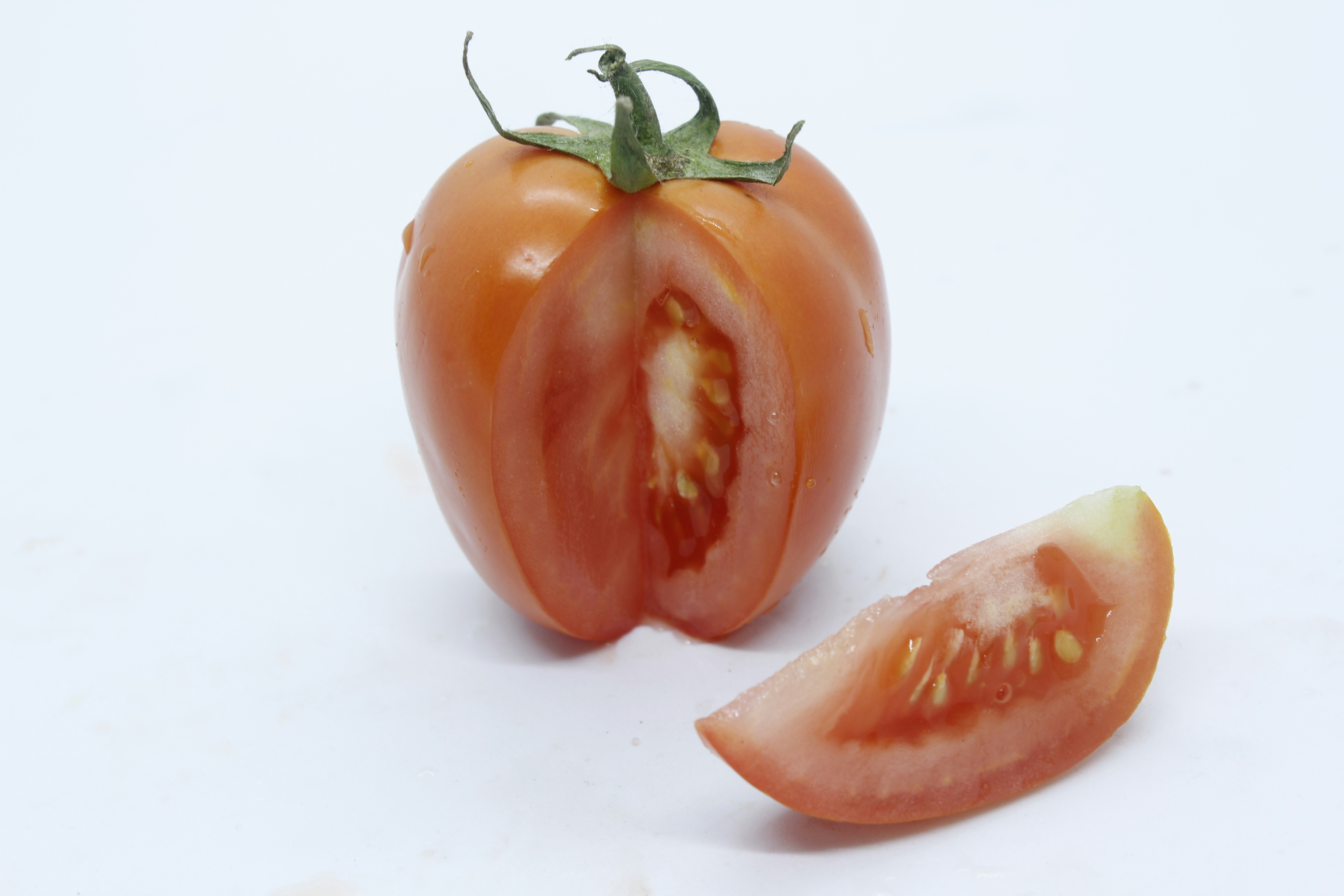 Tanaman Rekayasa Genetika