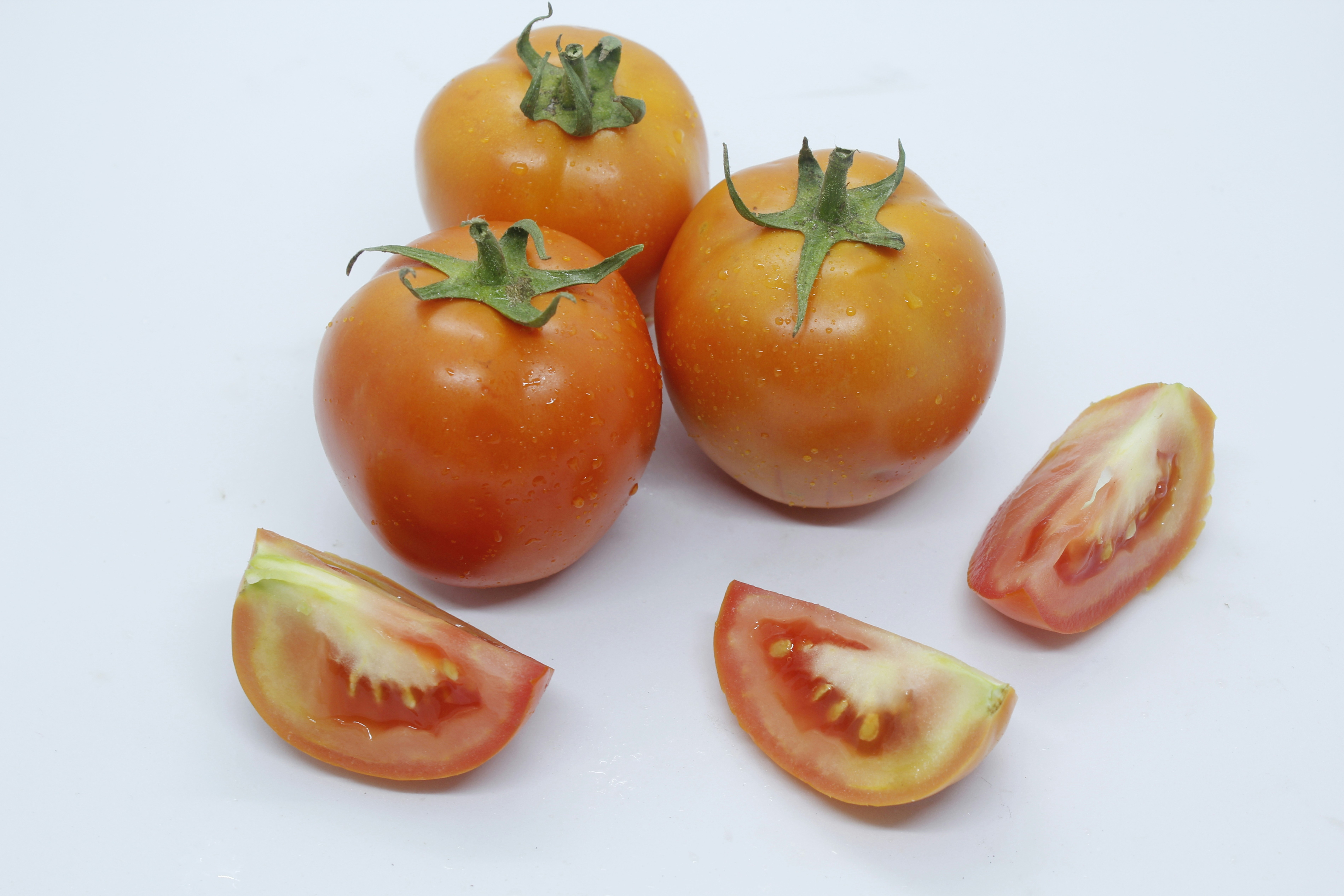 Photo by wanasanan_phonnuan