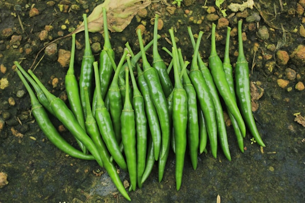 A bunch of green peppers sitting on the ground