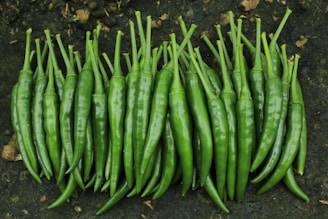 A pile of green beans sitting on top of a dirt ground