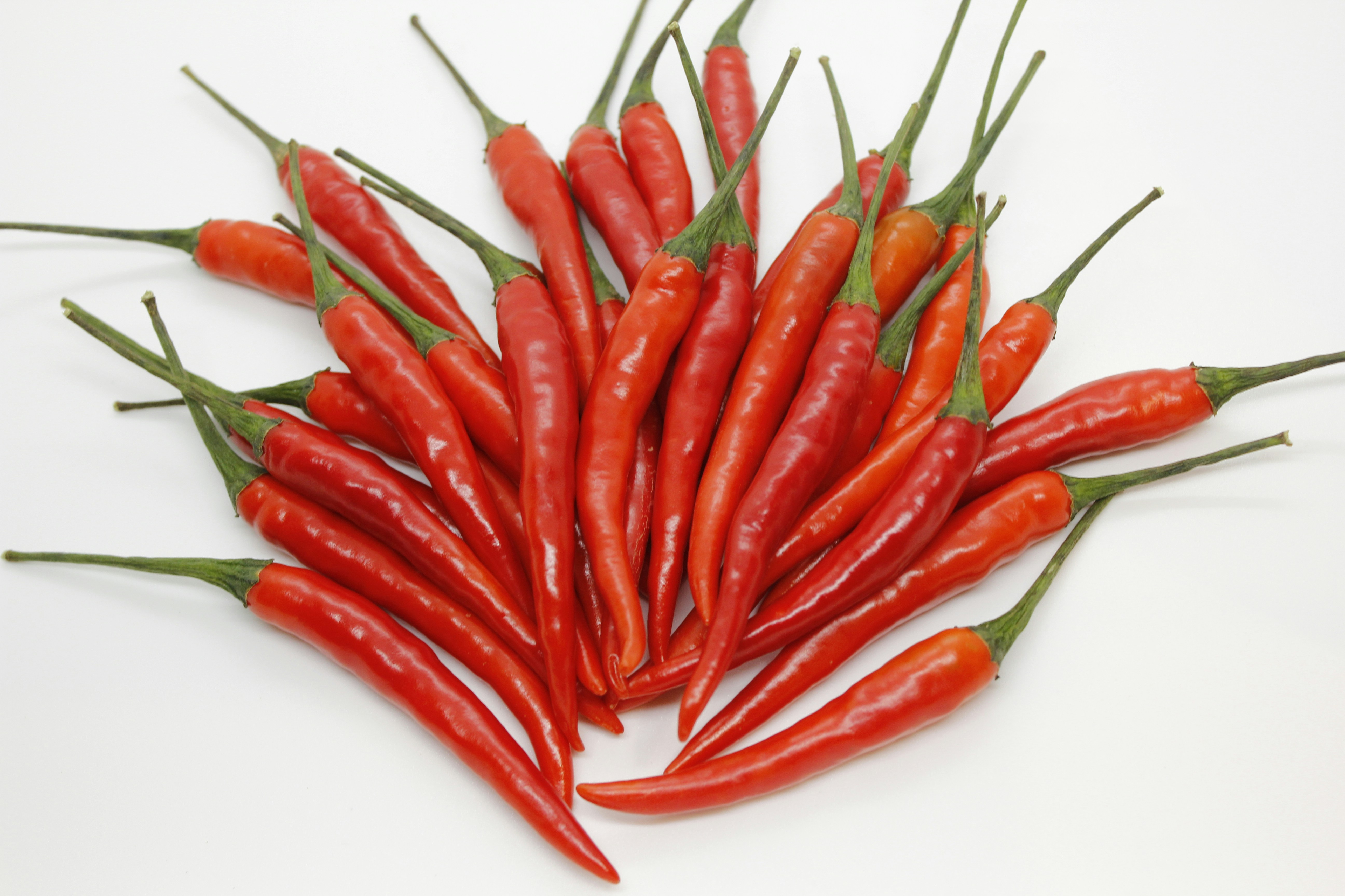 Photo by wanasanan_phonnuan