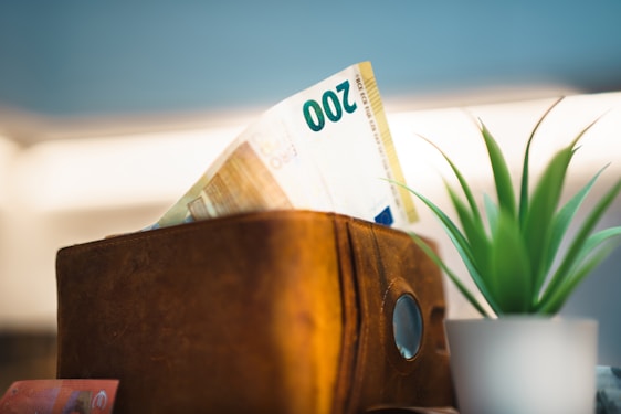 A potted plant sitting on top of a wooden box