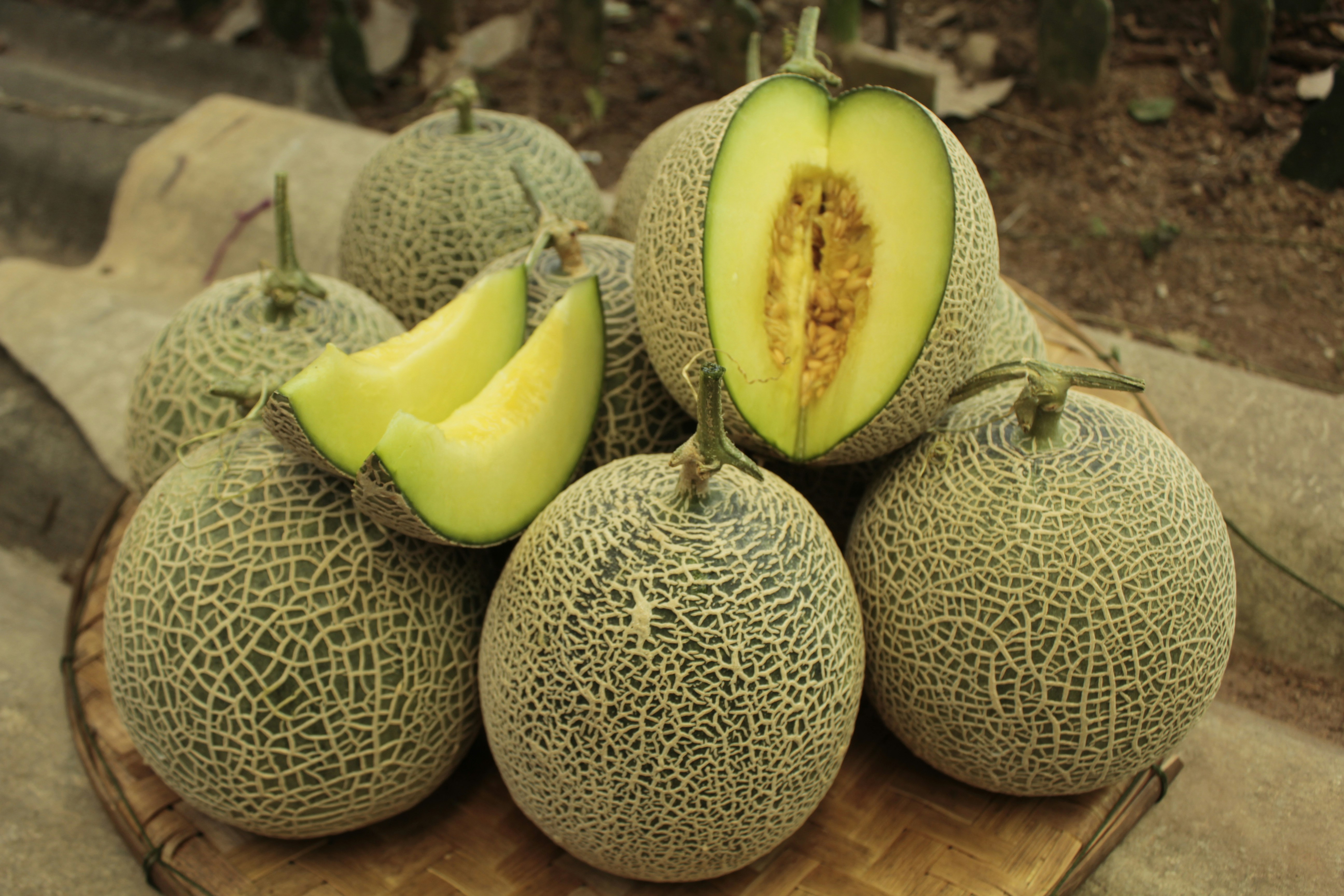 Photo by wanasanan_phonnuan