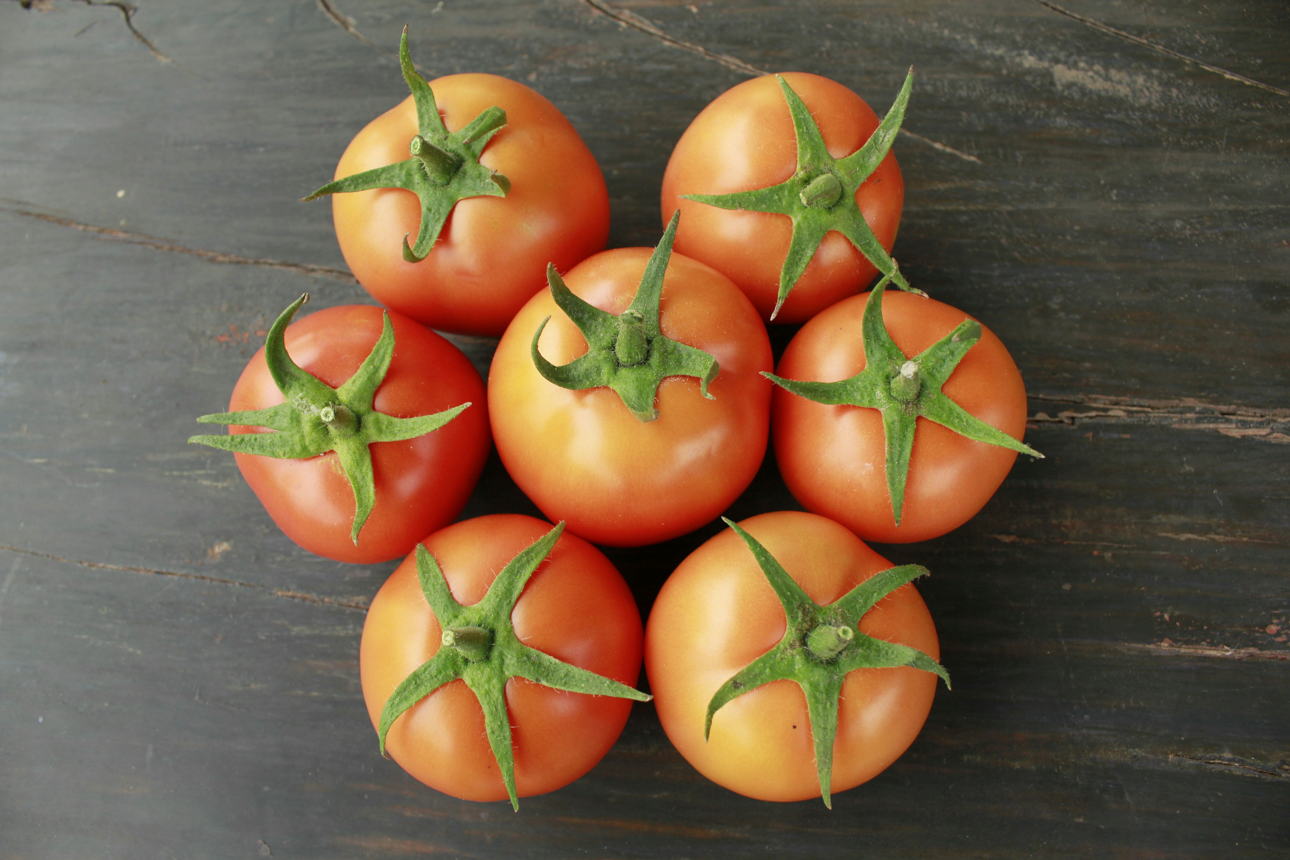 Sustainable tomato farming practices