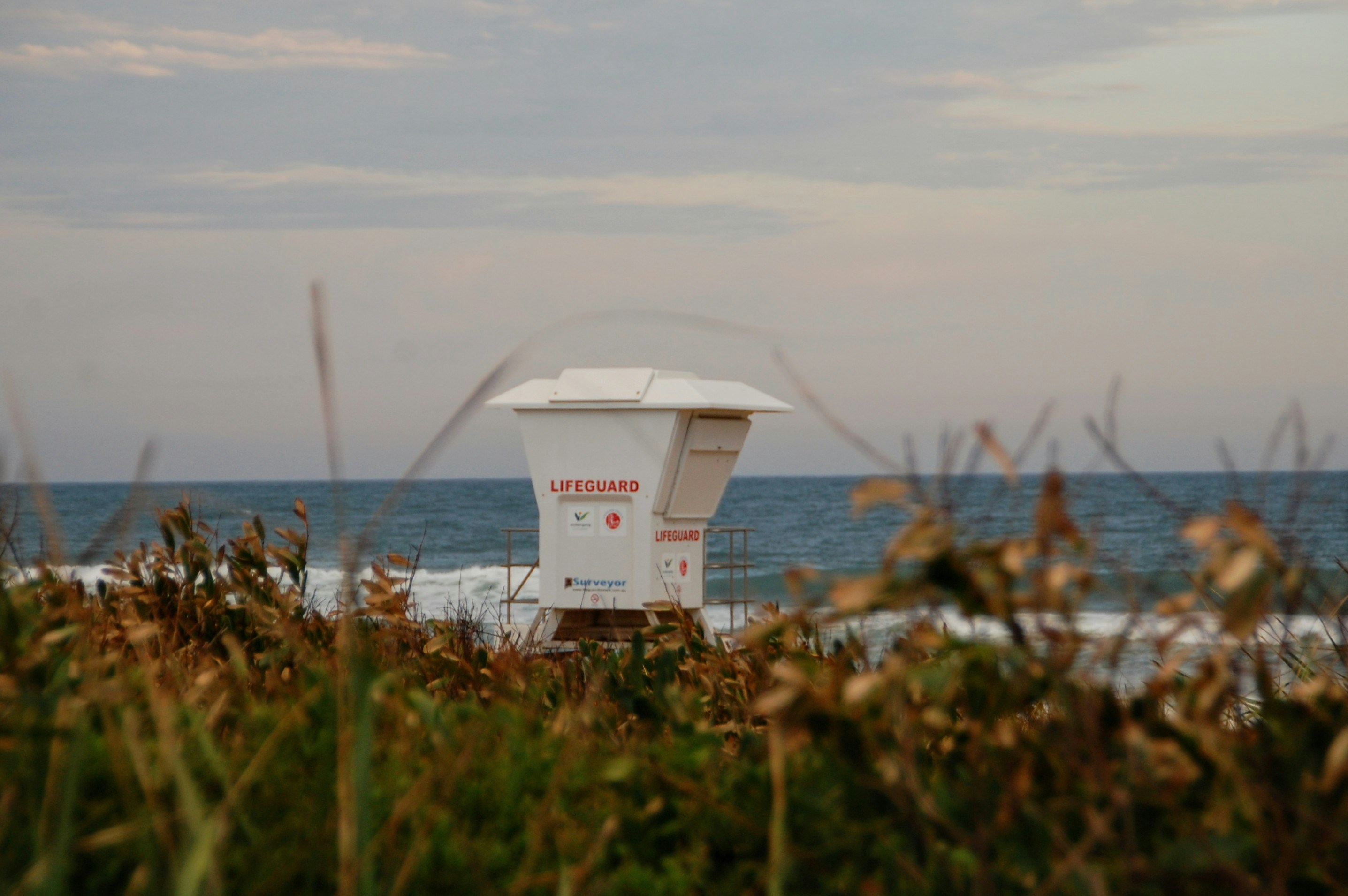 photo 1737961605876 0630400a5357?crop=entropy&cs=tinysrgb&fit=max&fm=jpg&ixid=M3w1MjQ0NjR8MHwxfHNlYXJjaHwxN3x8UGVzdCUyMENvbnRyb2wlMjBTZXJ2aWNlJTIwRGVscmF5JTIwQmVhY2glMjBGbG9yaWRhfGVufDB8MHx8fDE3NjAzMTM5MDh8MA&ixlib=rb 4.1