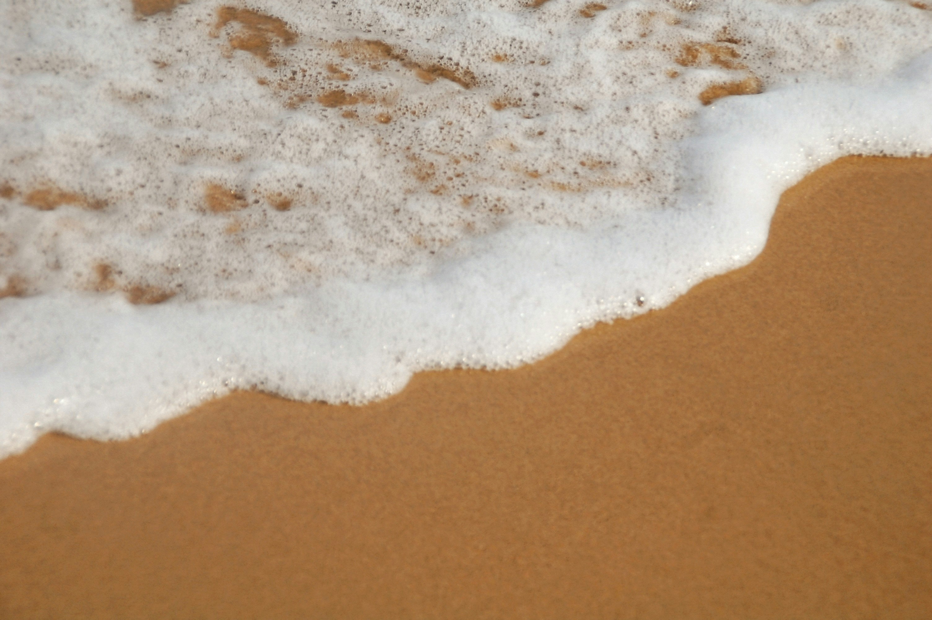 A close up of a wave coming in to the shore