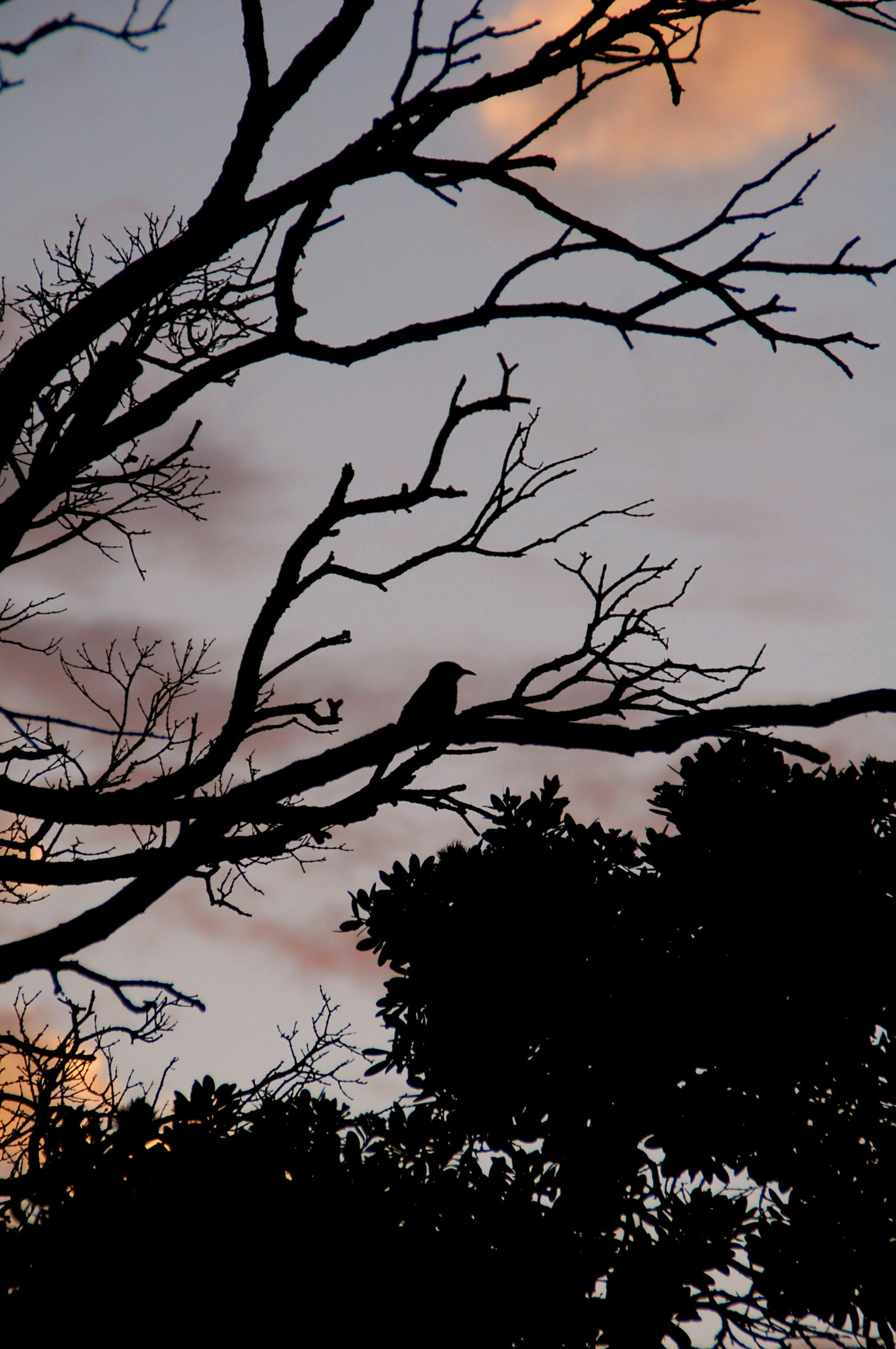 Photo by audrey_slade