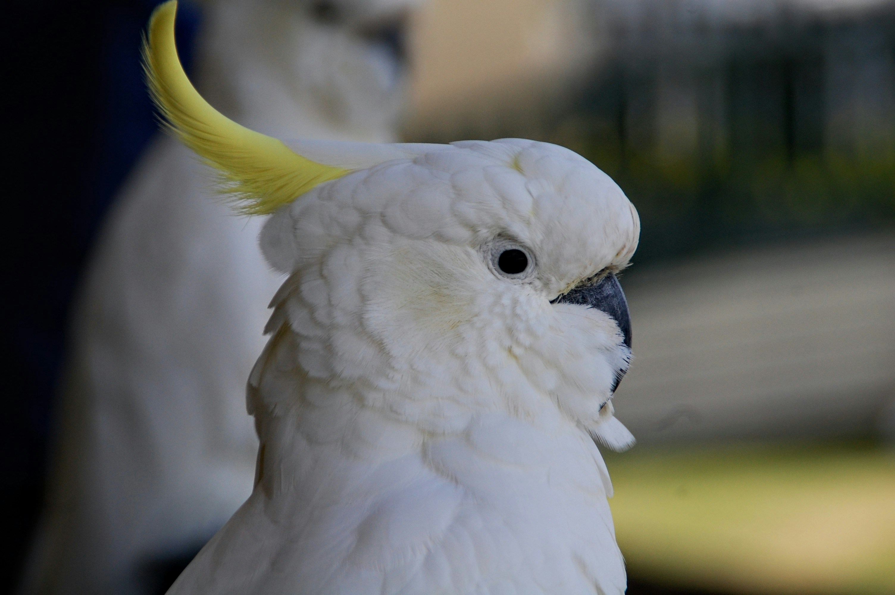 Photo by audrey_slade