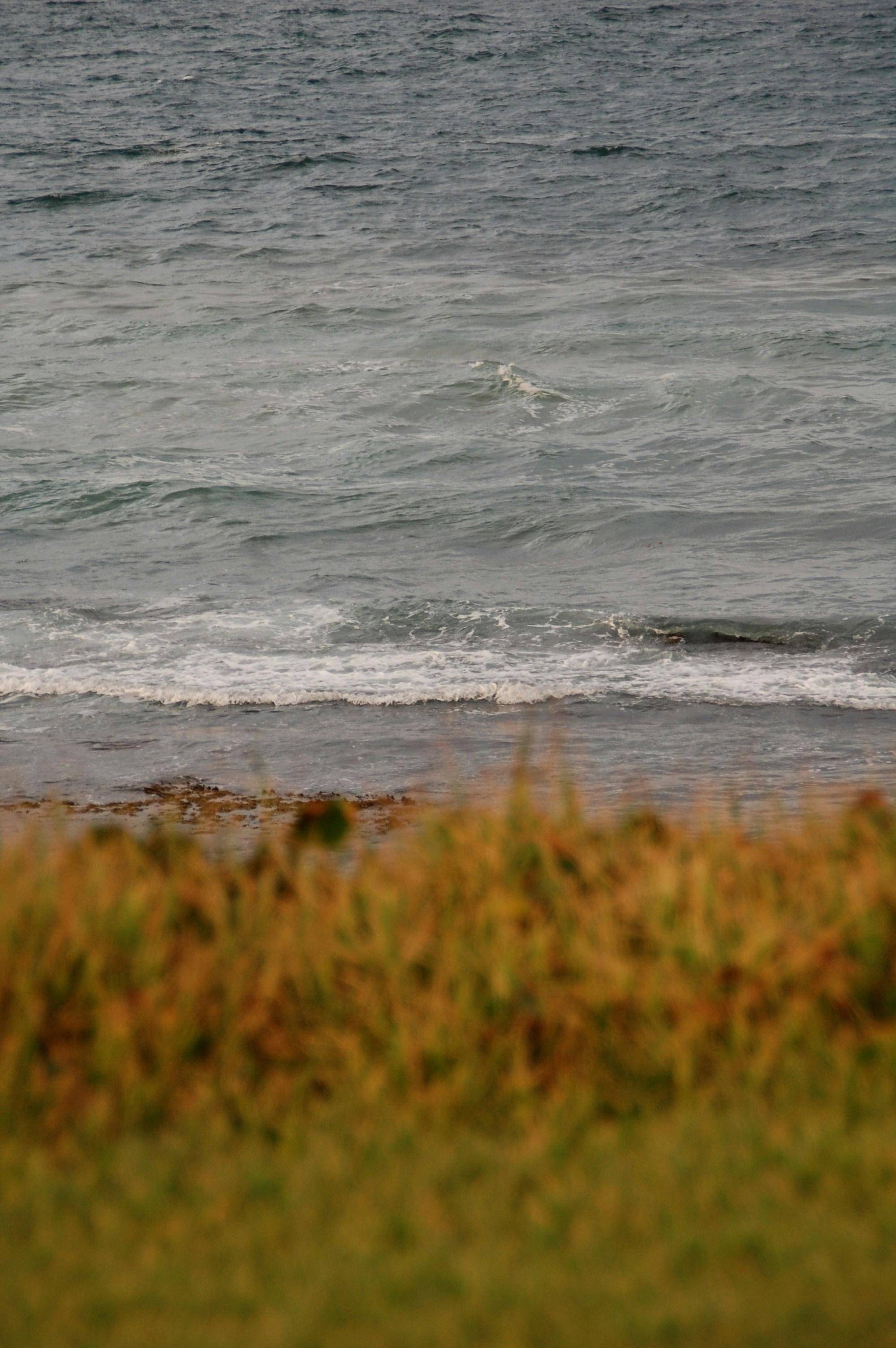 Photo by audrey_slade