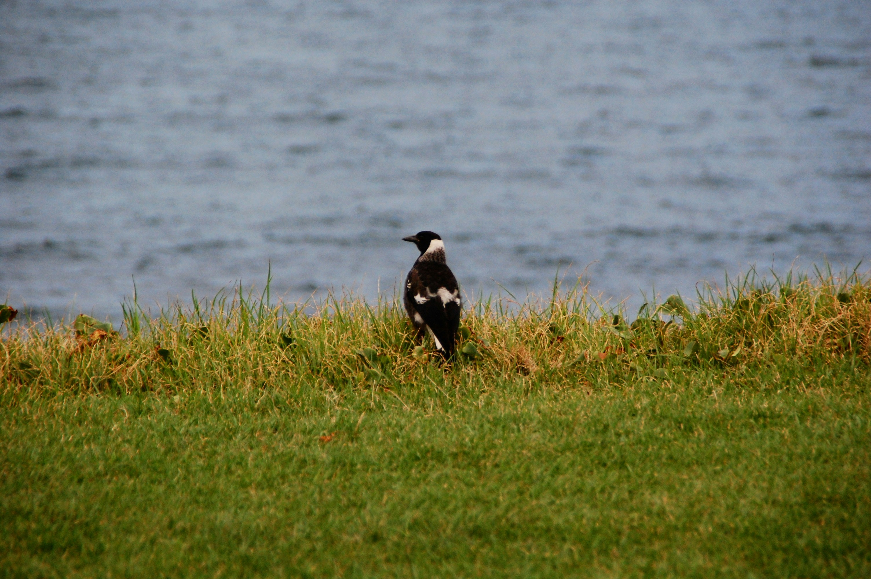 Photo by audrey_slade