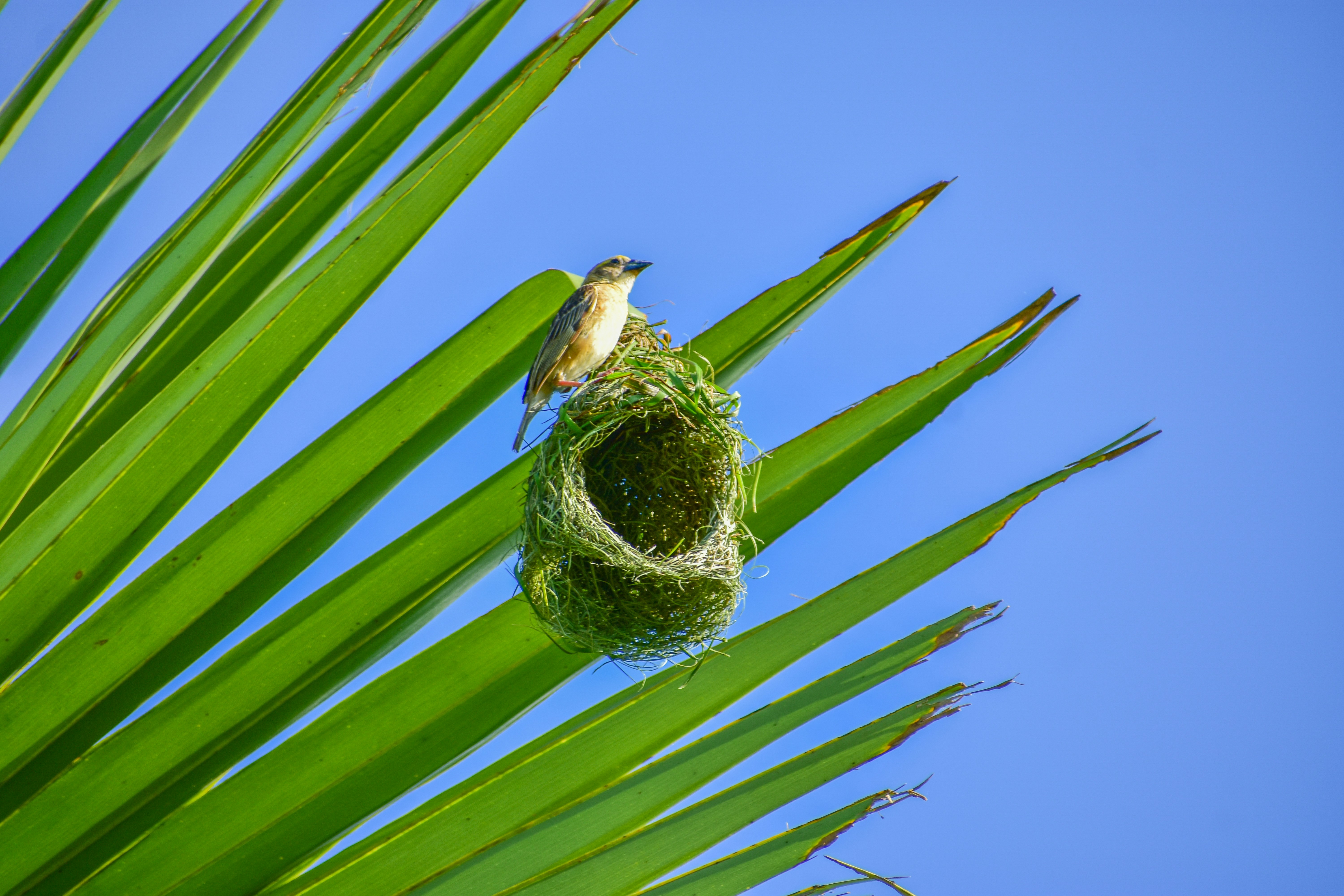 Photo by samiulhaquebhuyan