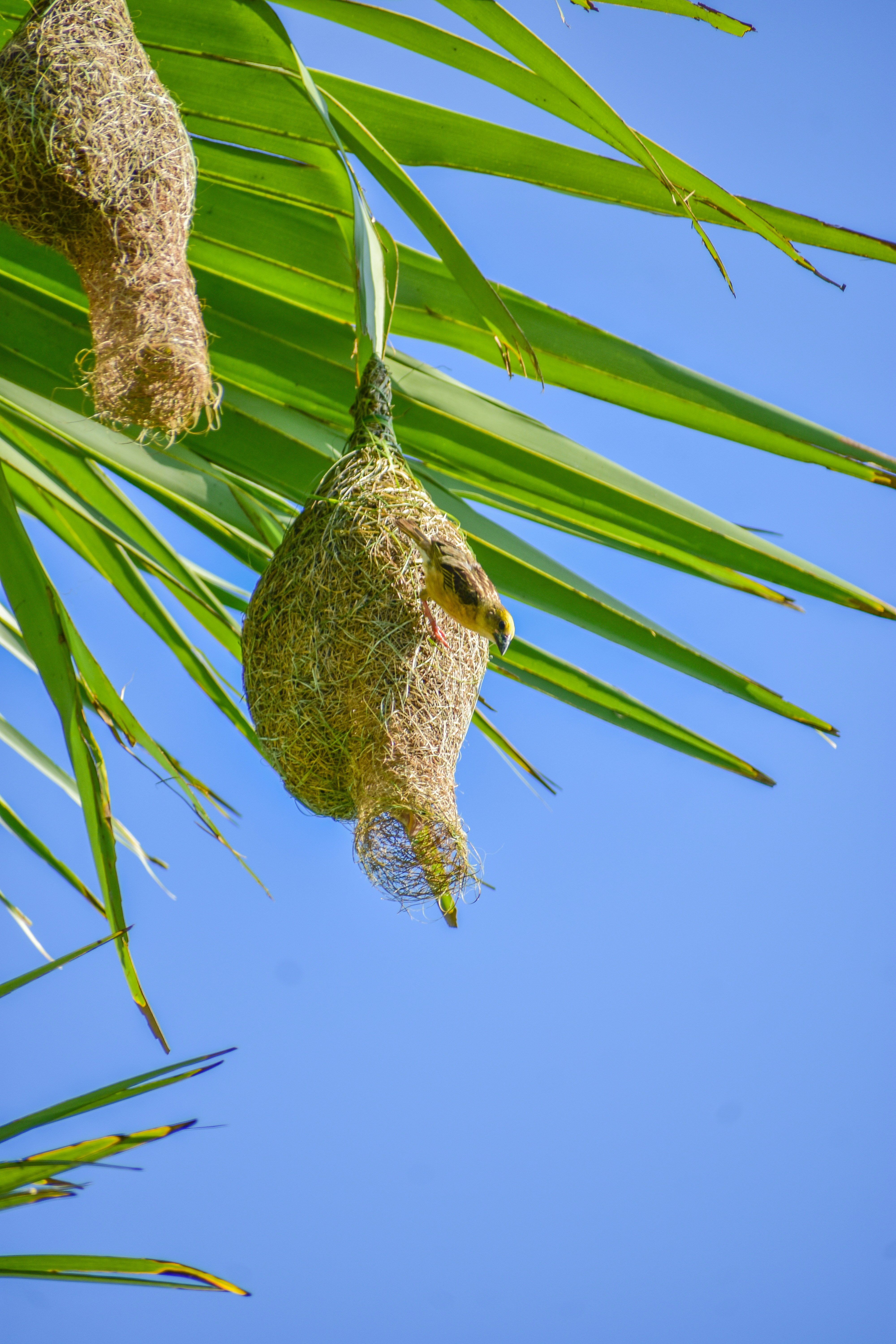 Photo by samiulhaquebhuyan