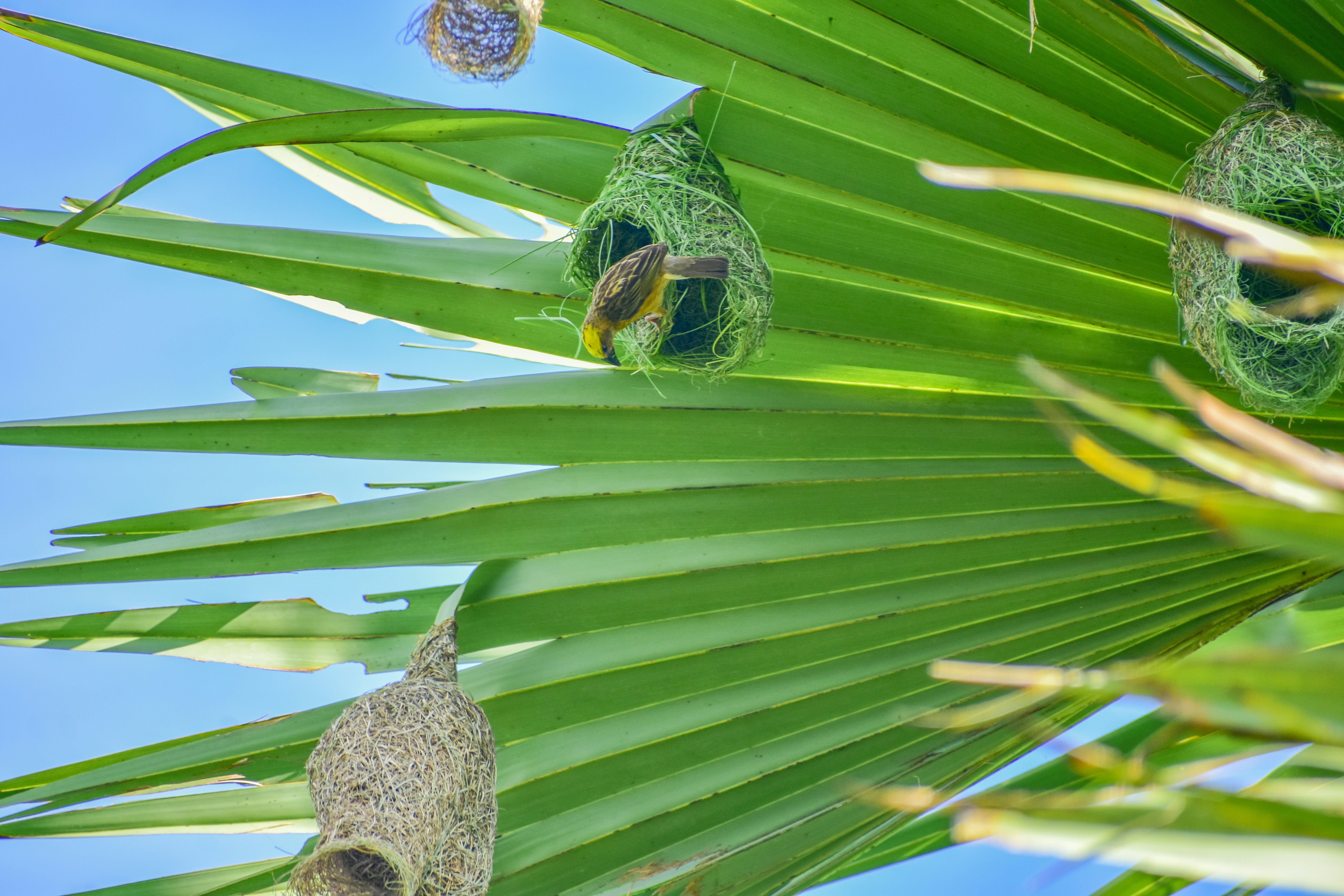 Photo by samiulhaquebhuyan