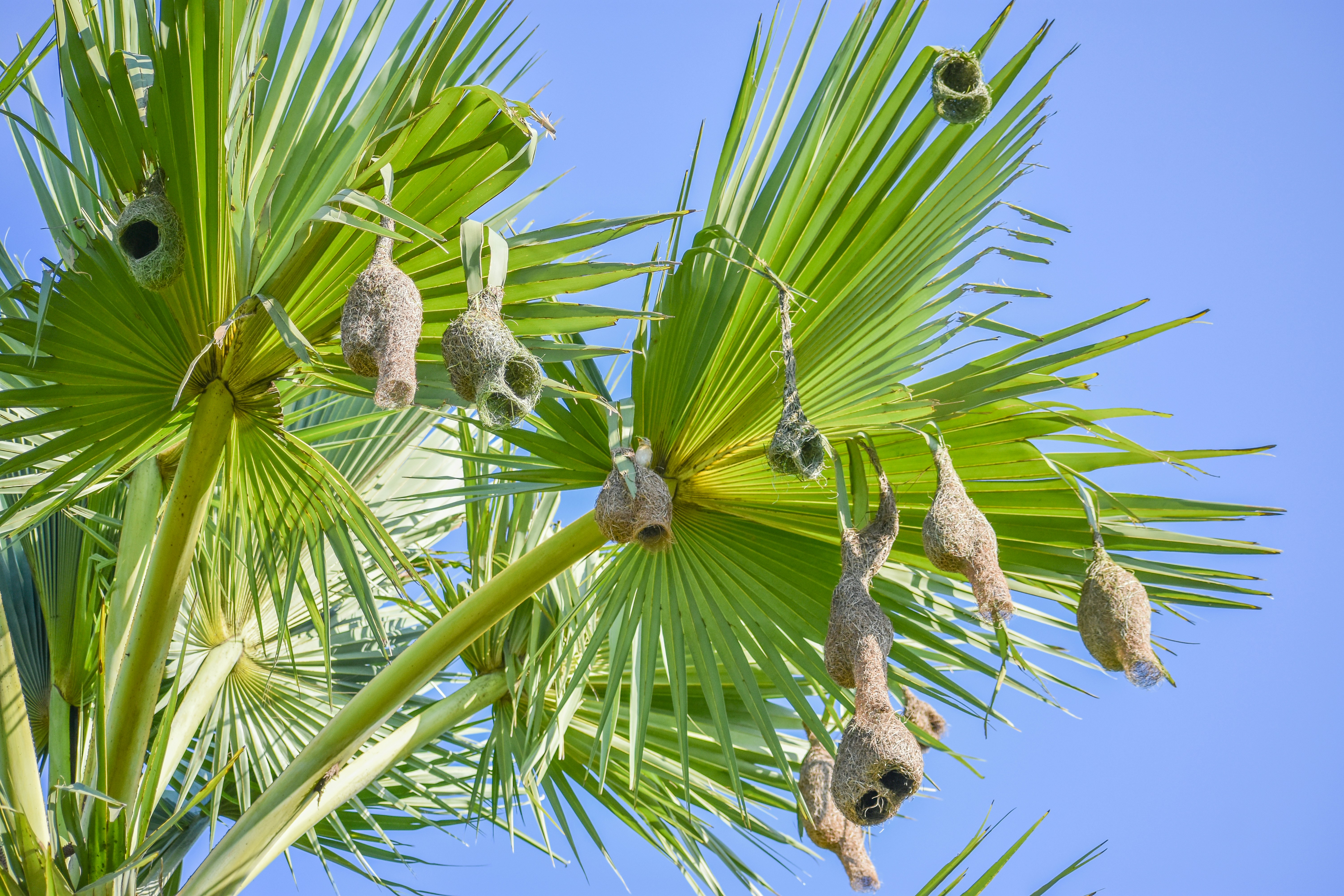 Photo by samiulhaquebhuyan