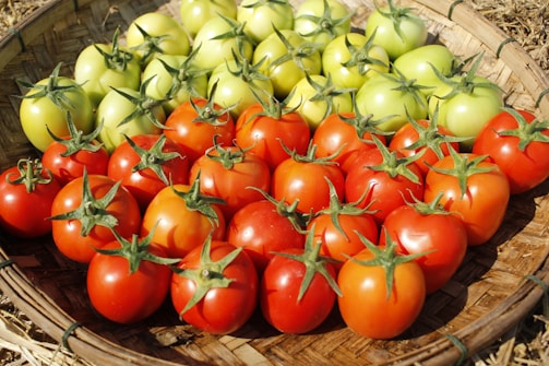 A basket filled with lots of red and green tomatoes
