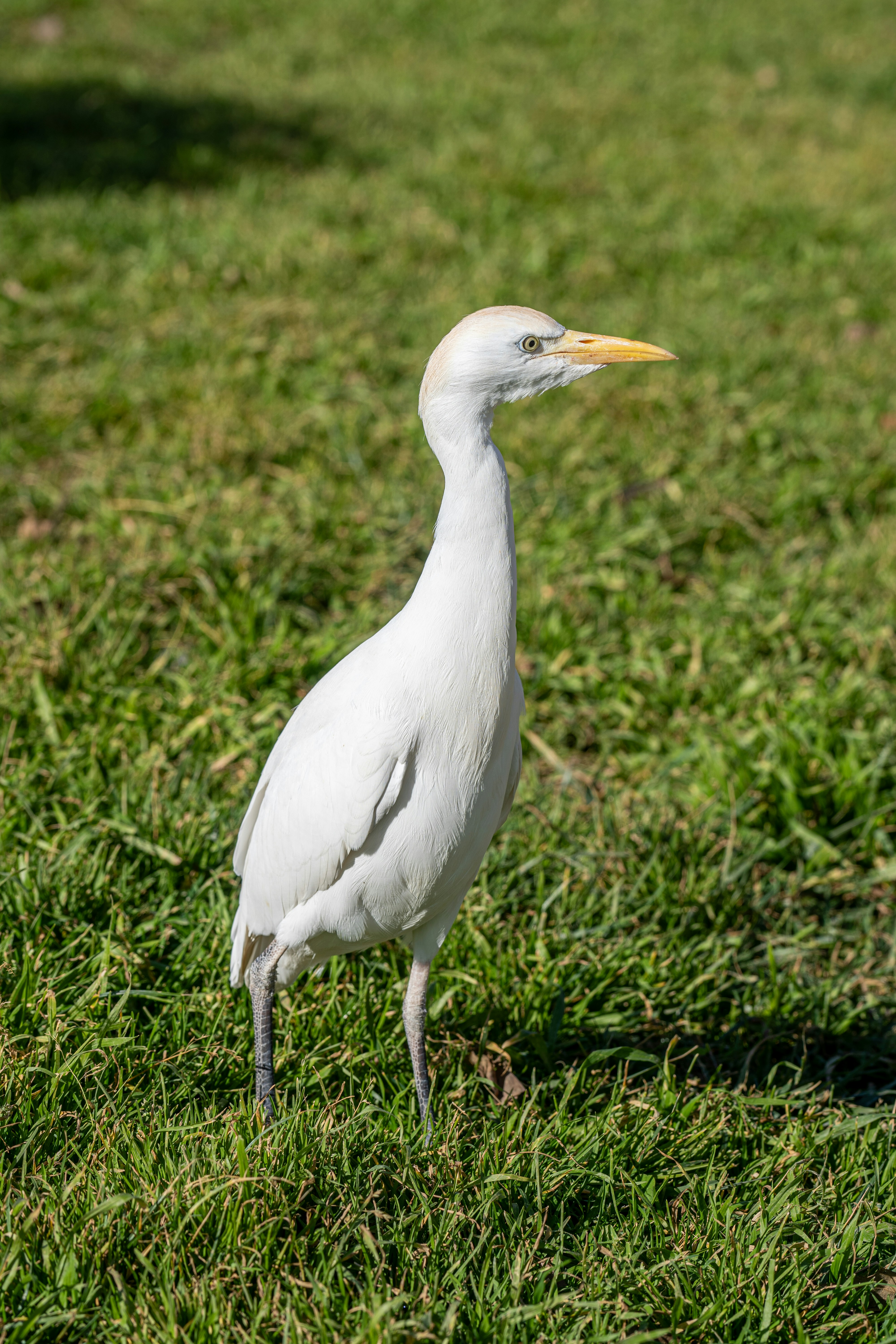 Photo by ivan_sanchez