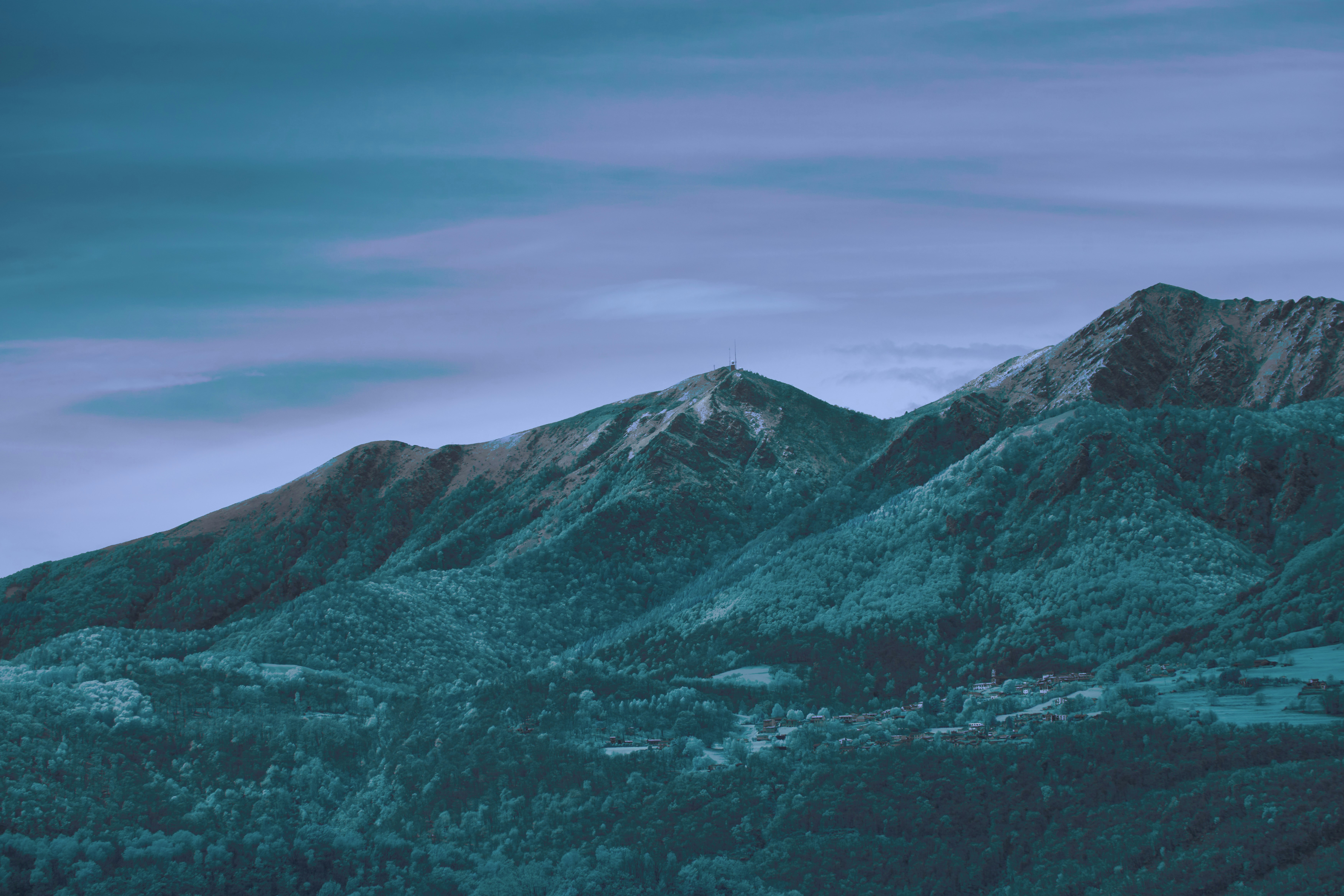 Photo by wolfgang_hasselmann