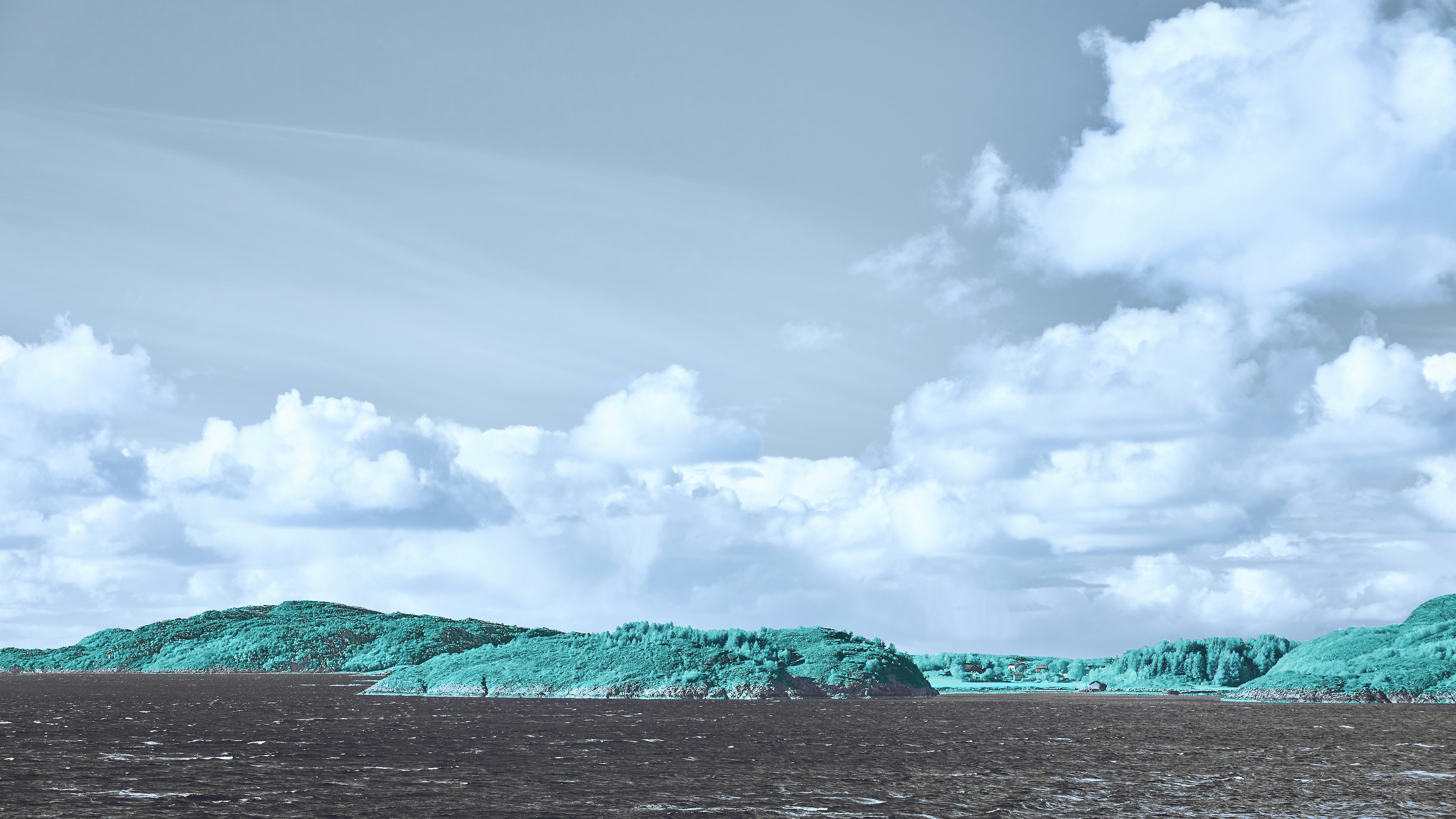 Photo by wolfgang_hasselmann