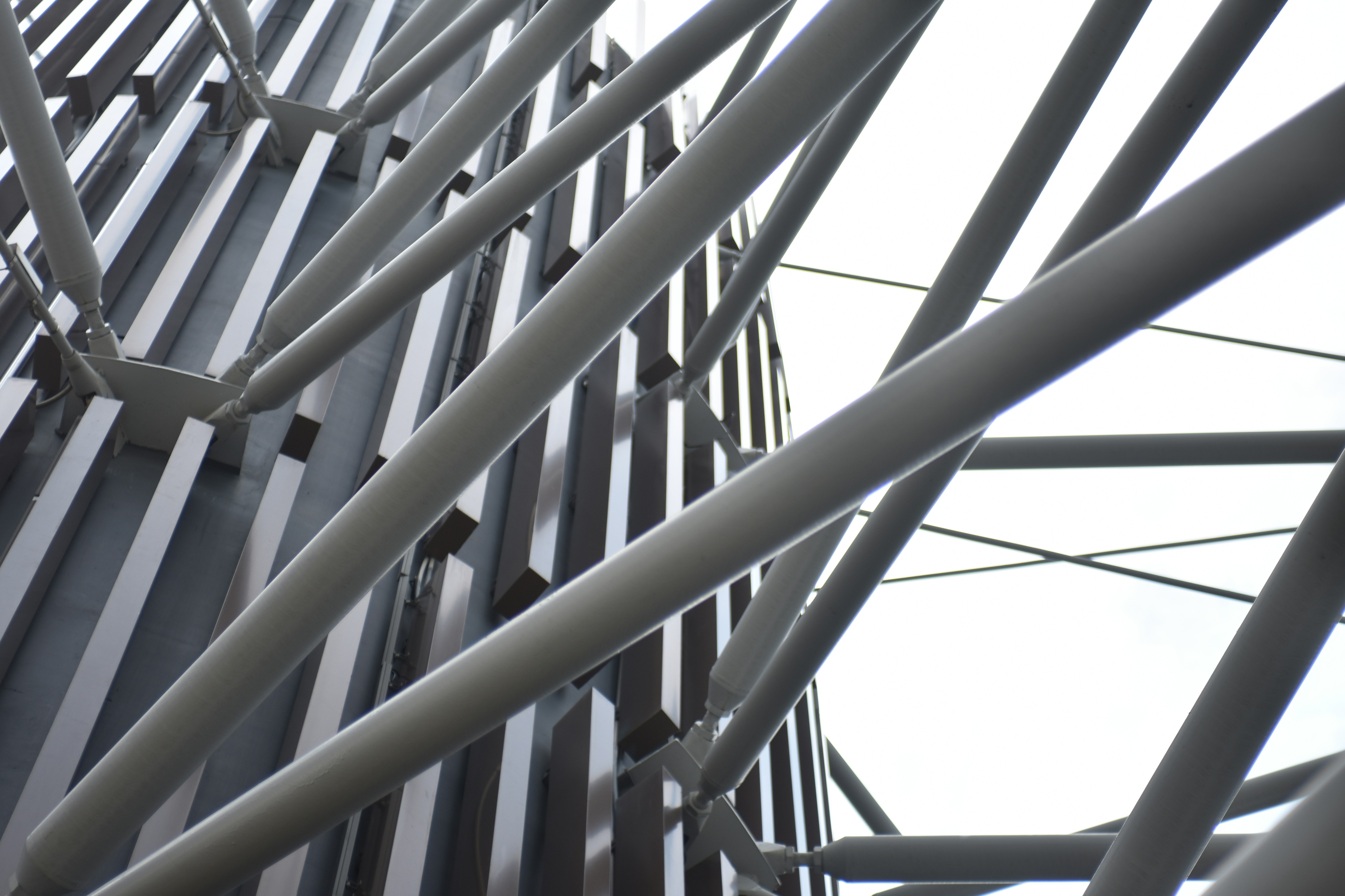 Photo by littlegabriel