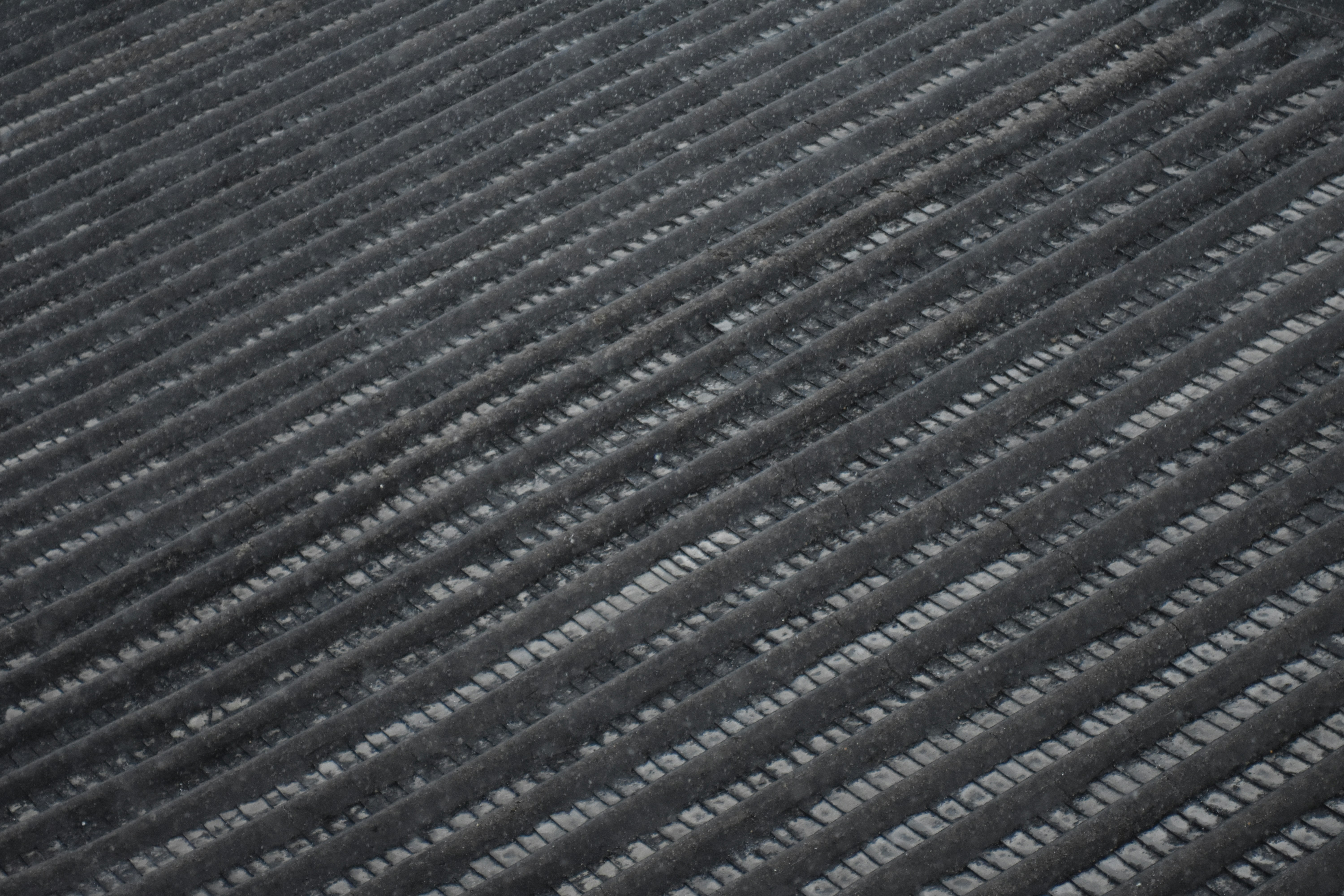 Photo by littlegabriel