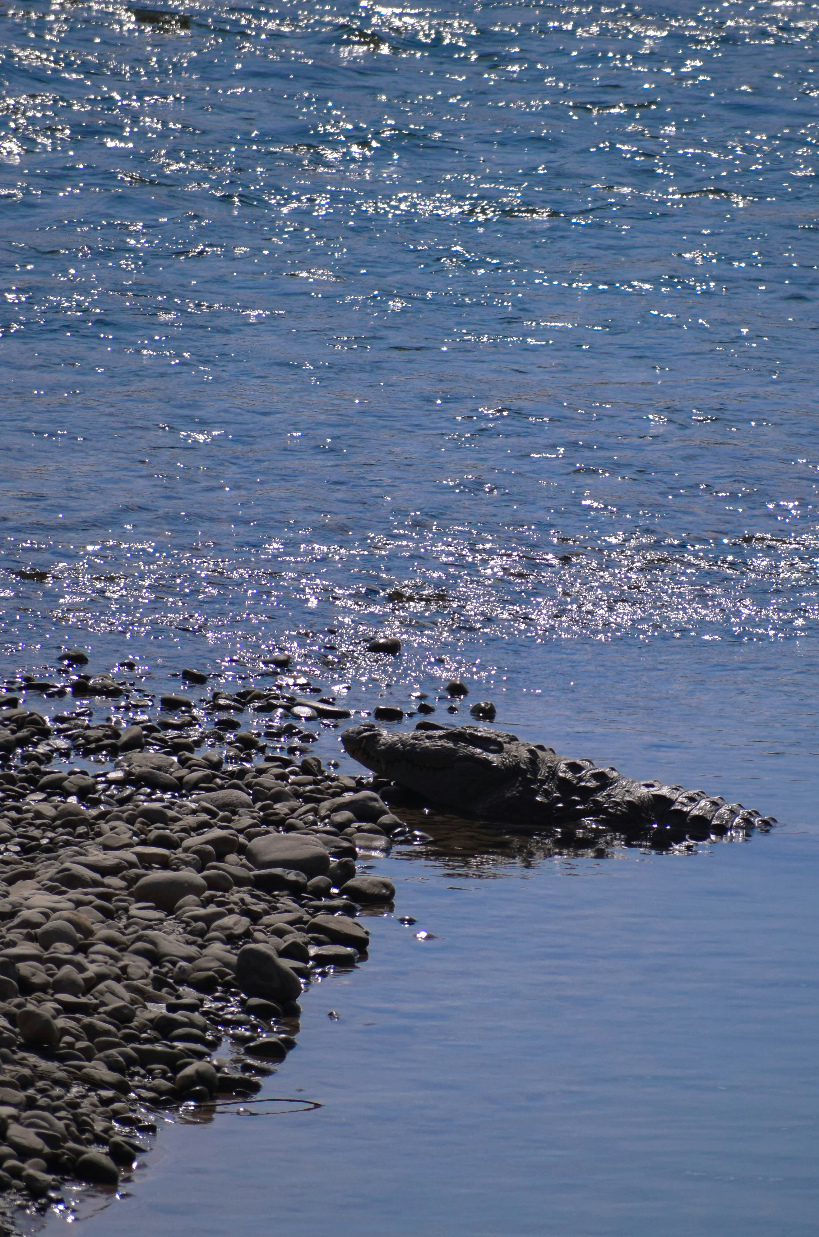 Photo by maskedemann