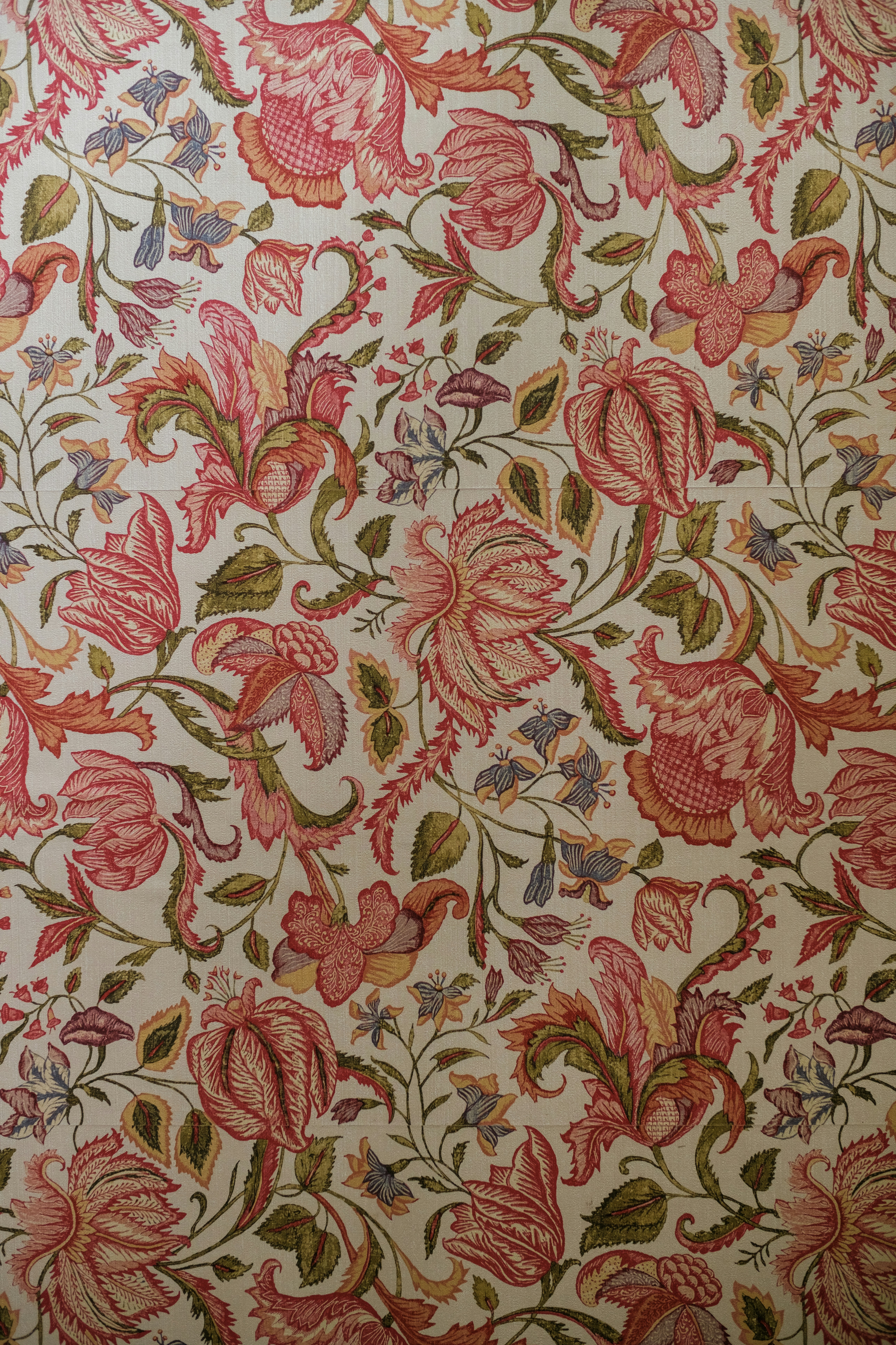 Photo by haberdoedas