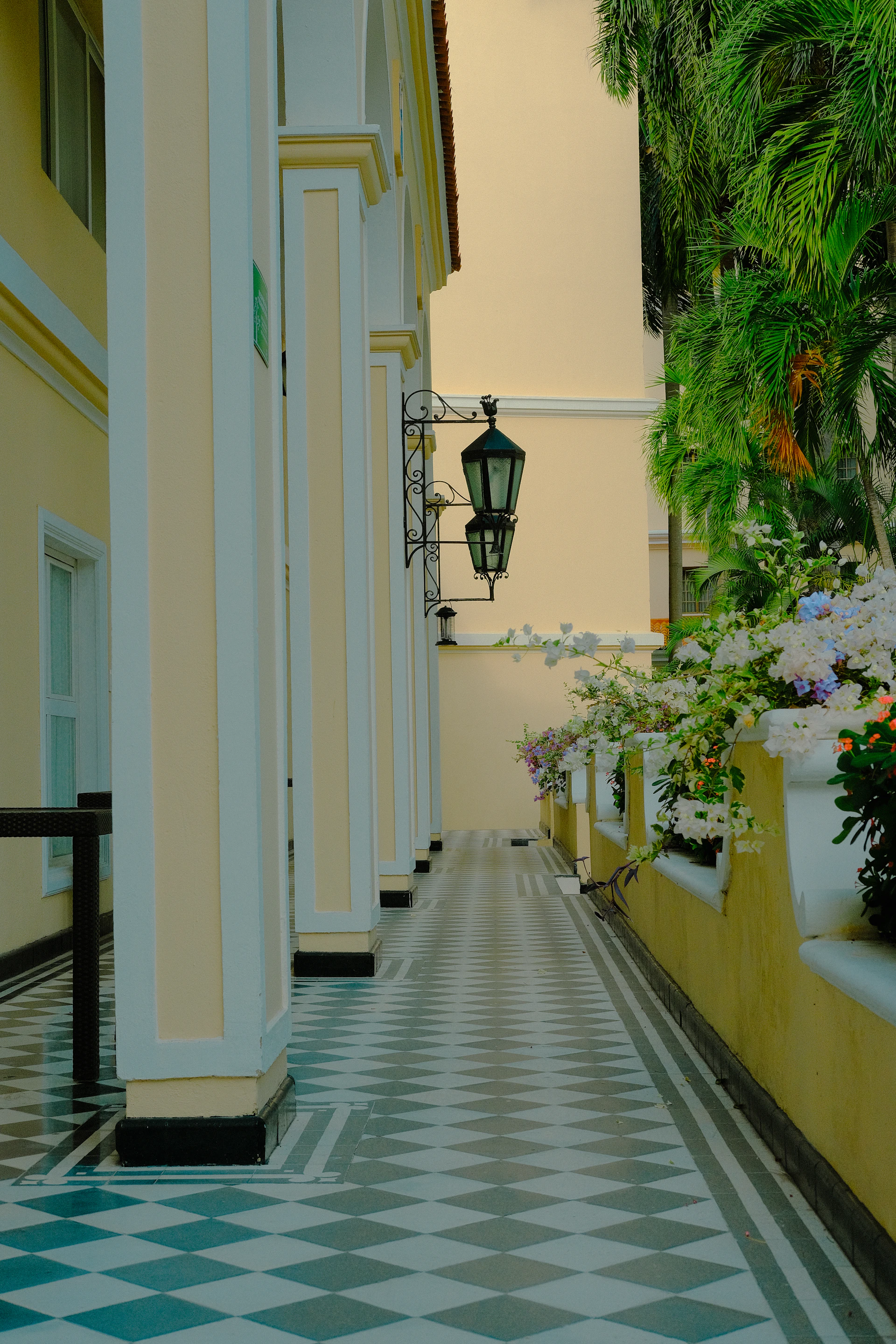 A long hallway with potted plants on the side of it
