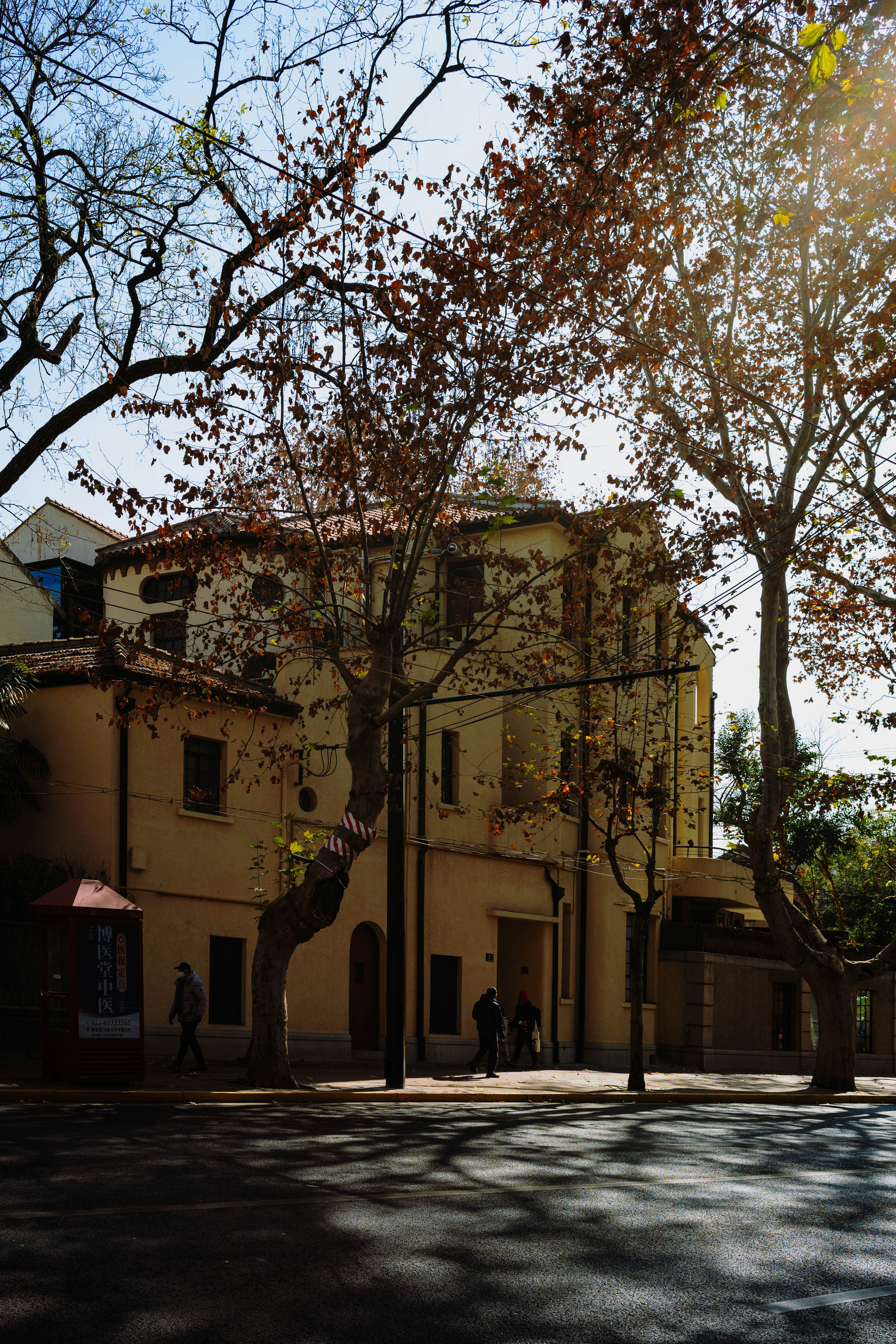 Photo by tommaomaoer