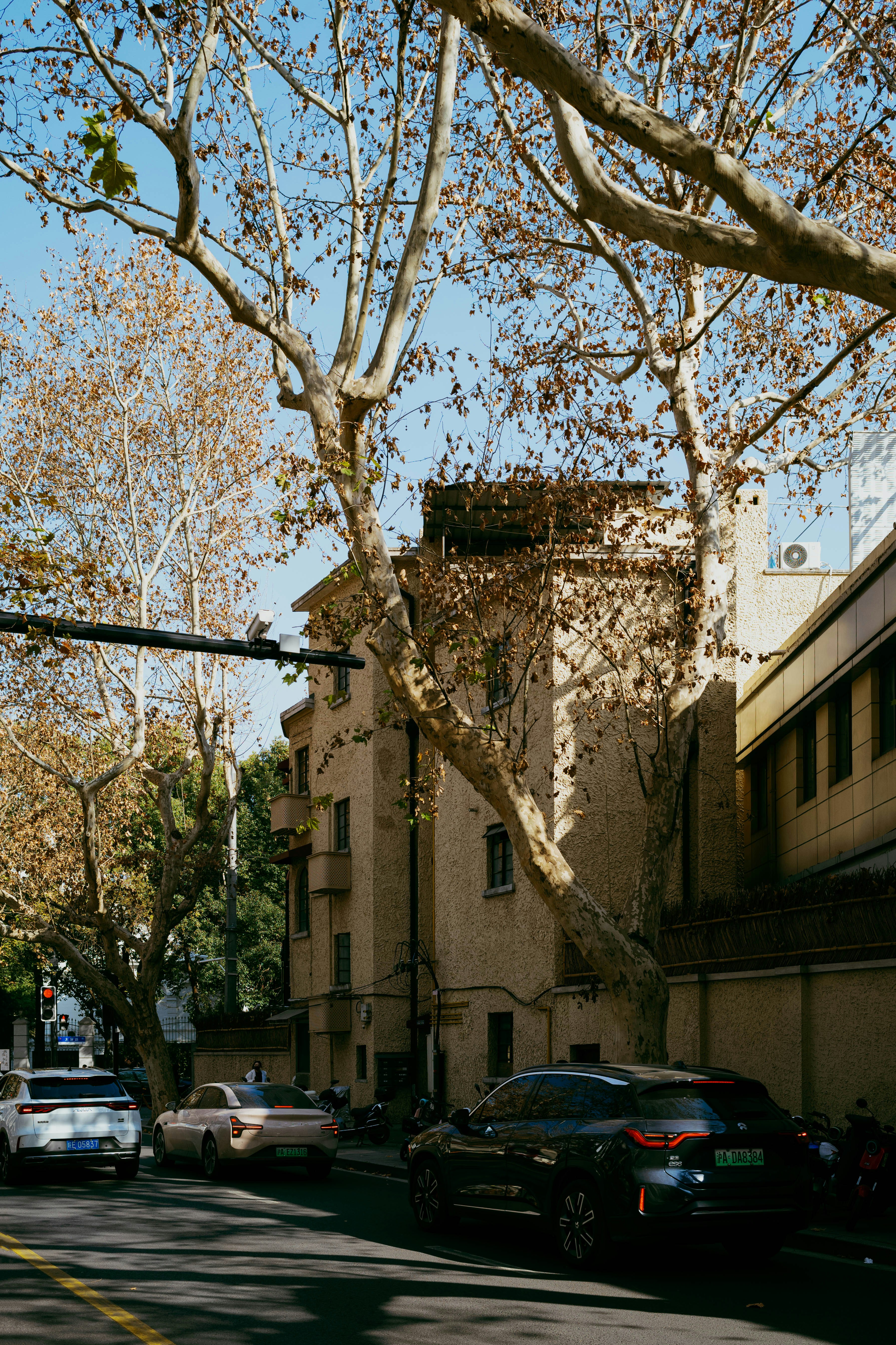 Photo by tommaomaoer