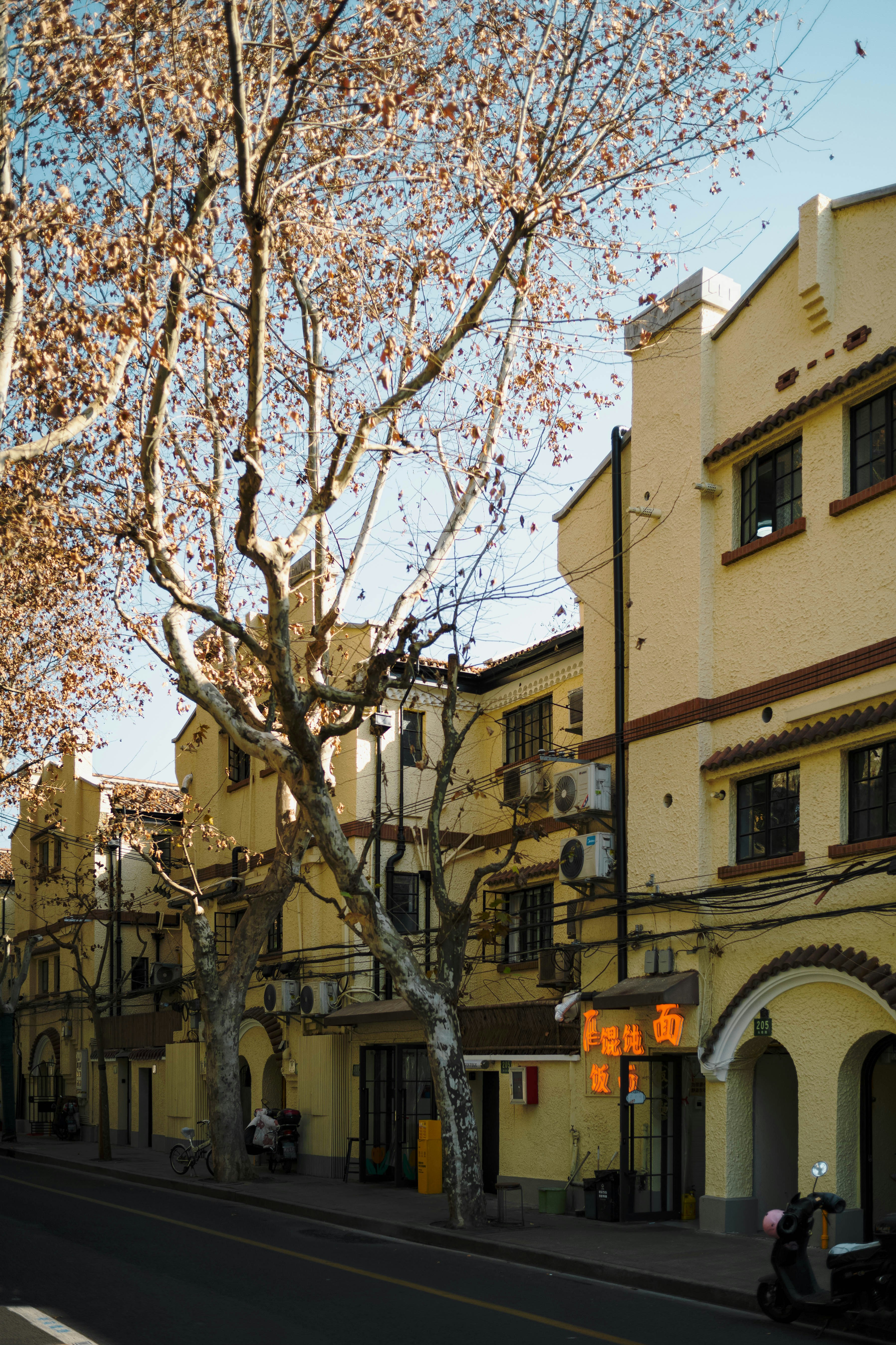 Photo by tommaomaoer