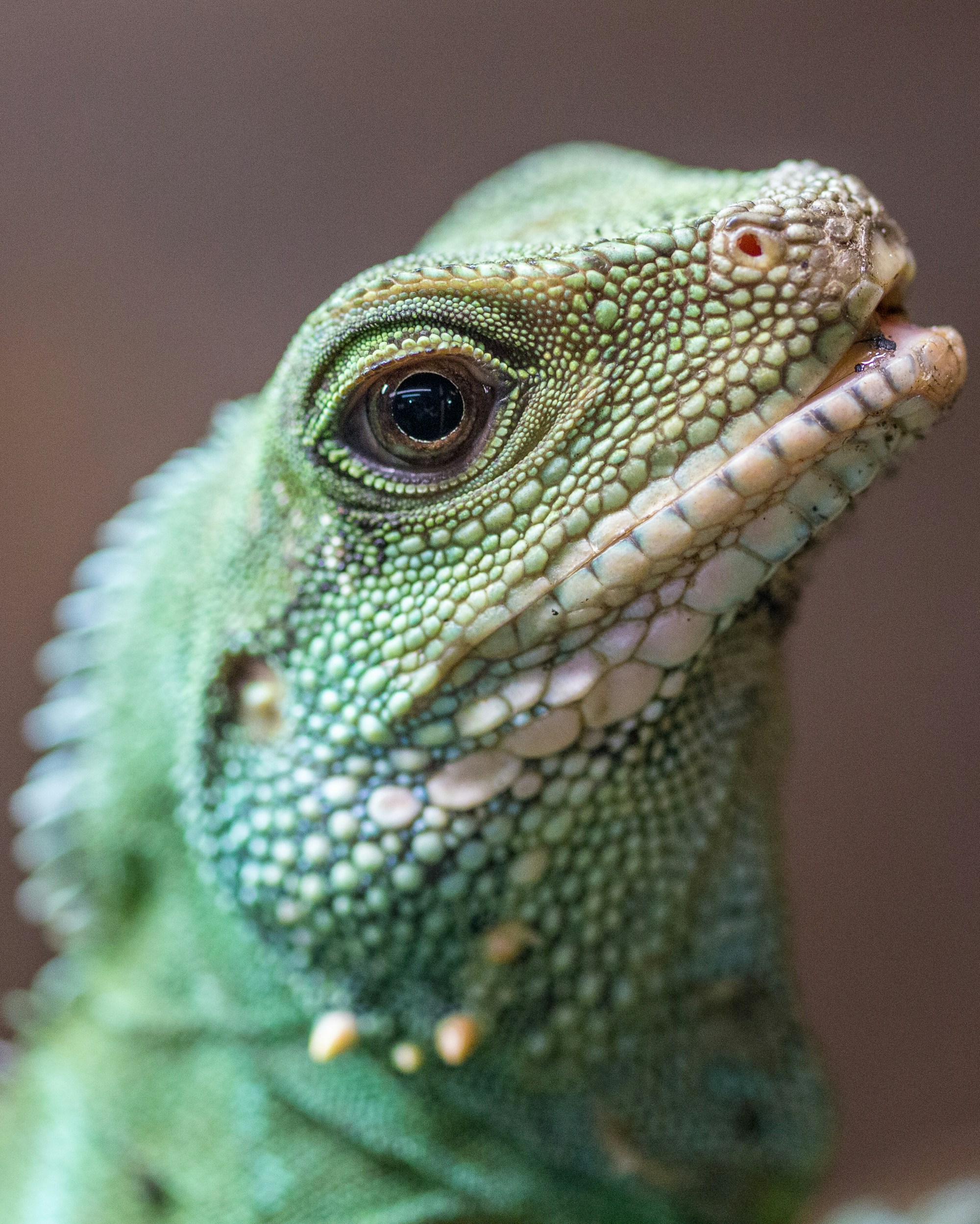 Photo by thebigbadroy