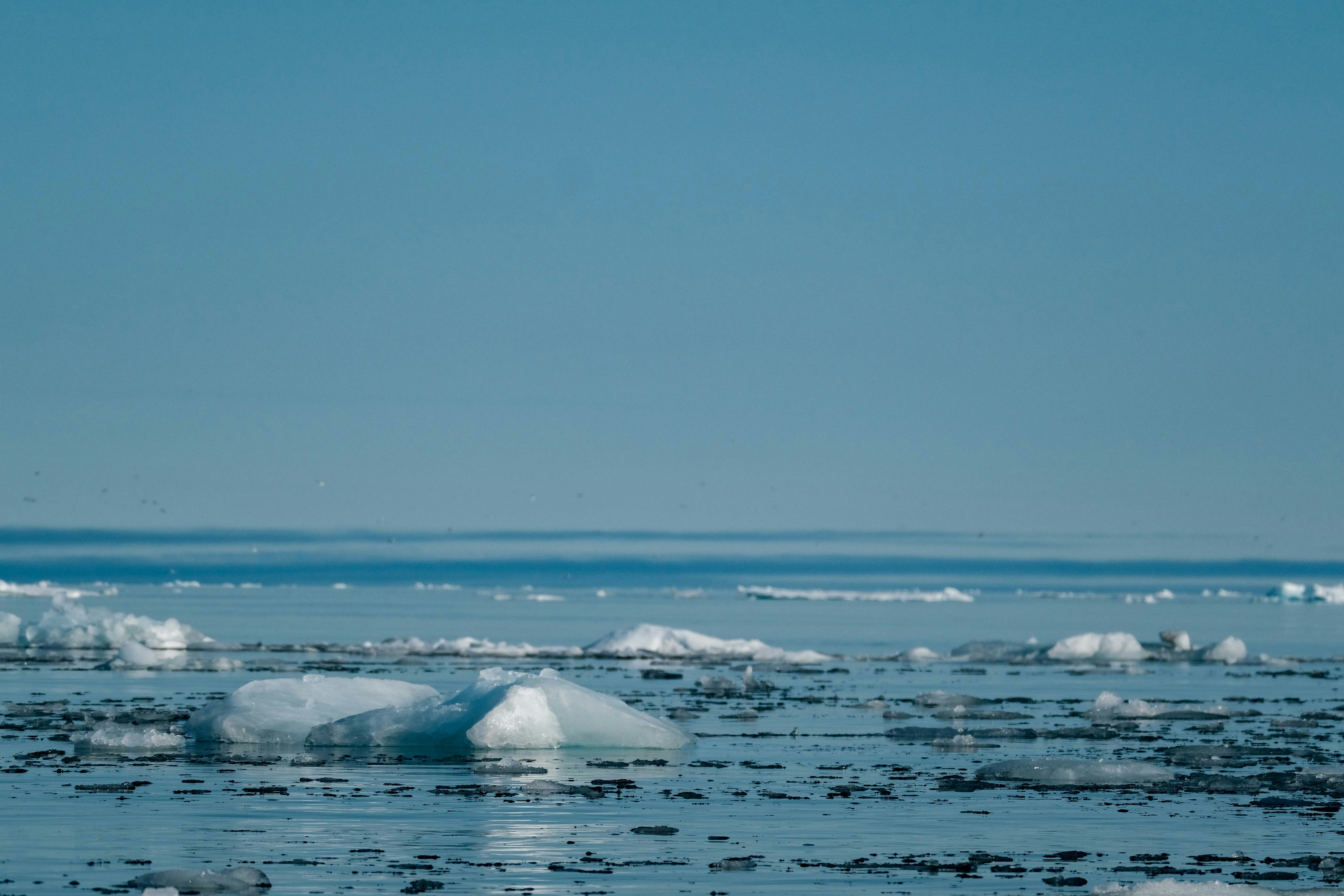 Photo by francesco_ungaro