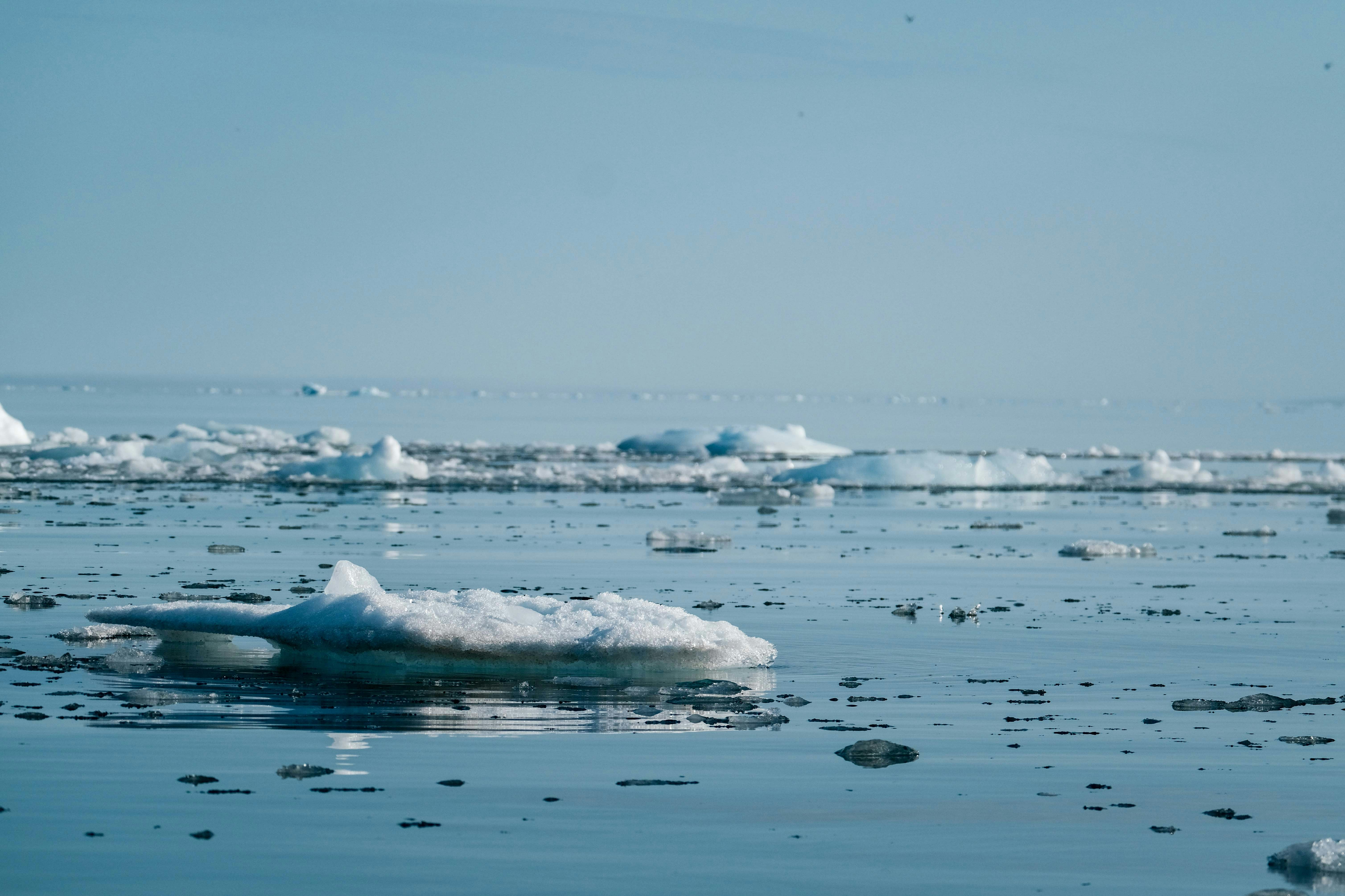 Photo by francesco_ungaro