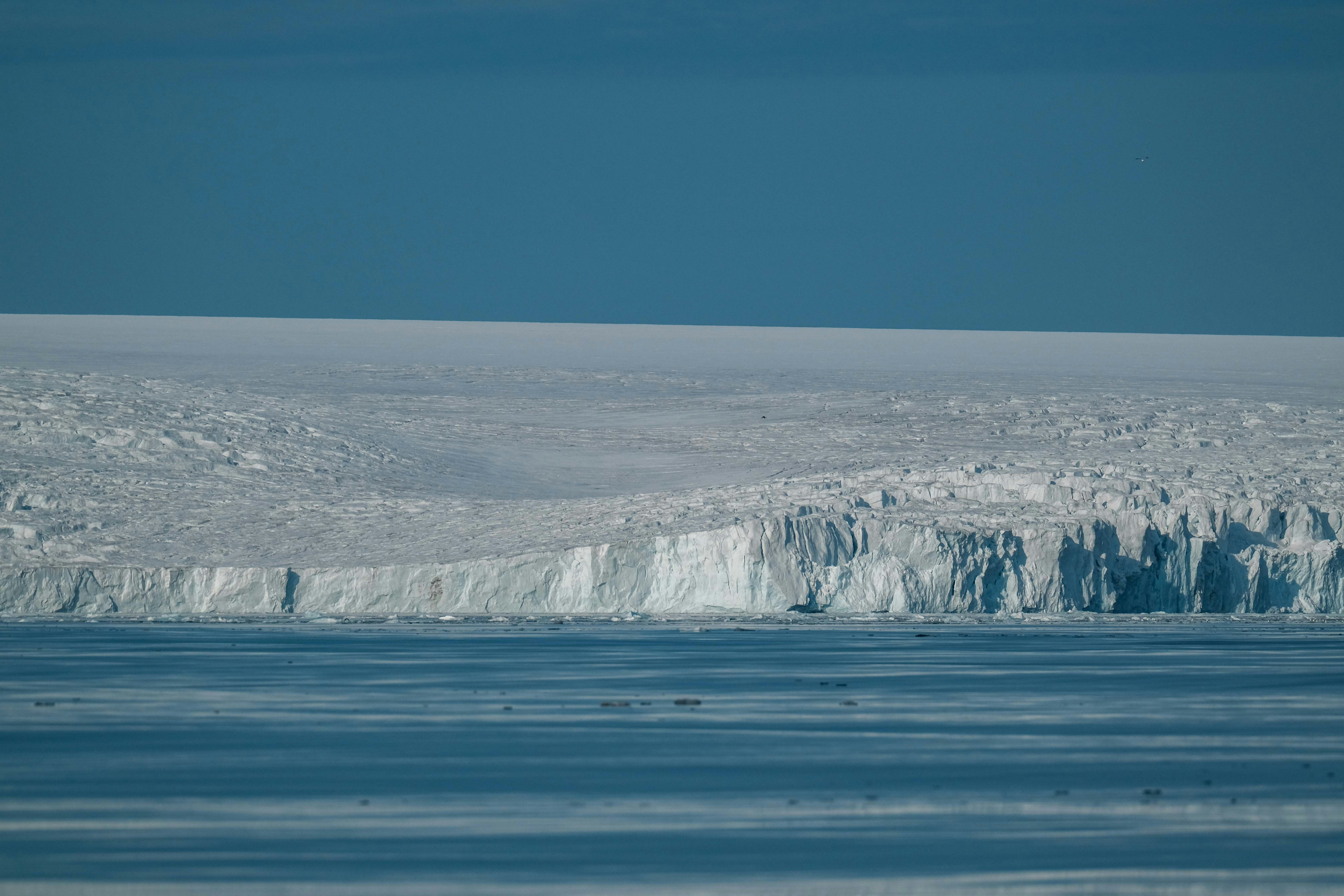 Photo by francesco_ungaro