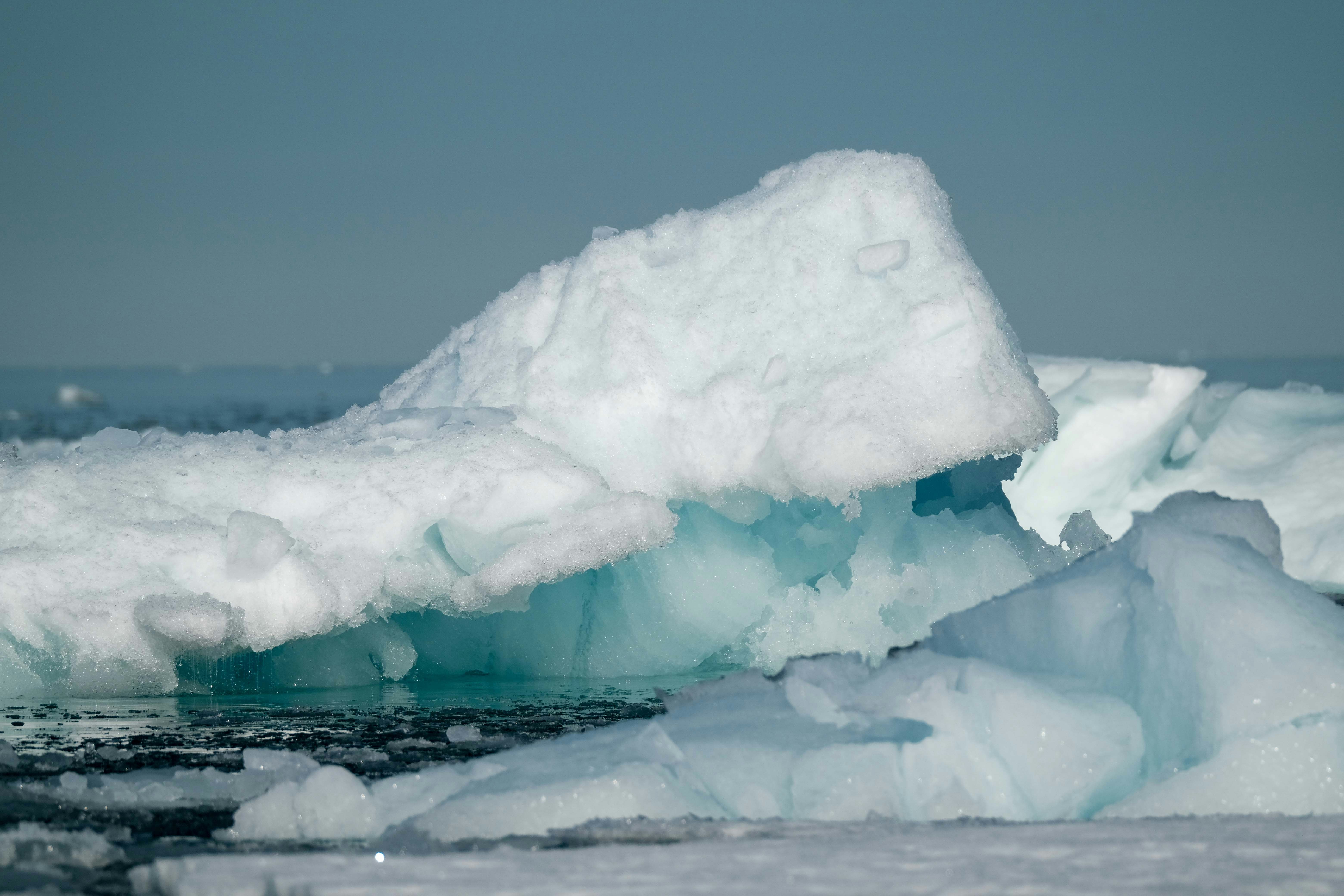 Photo by francesco_ungaro