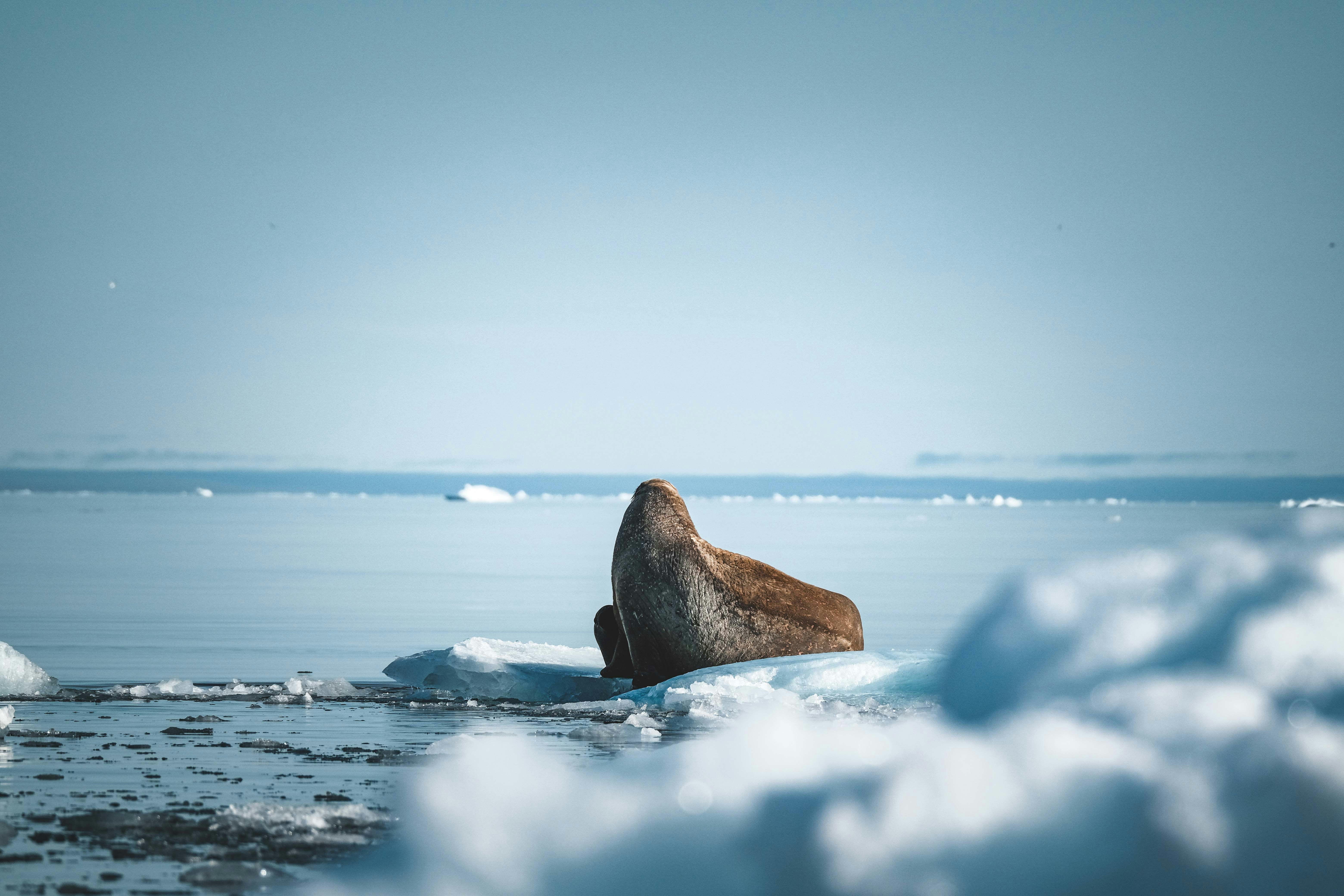 Photo by francesco_ungaro