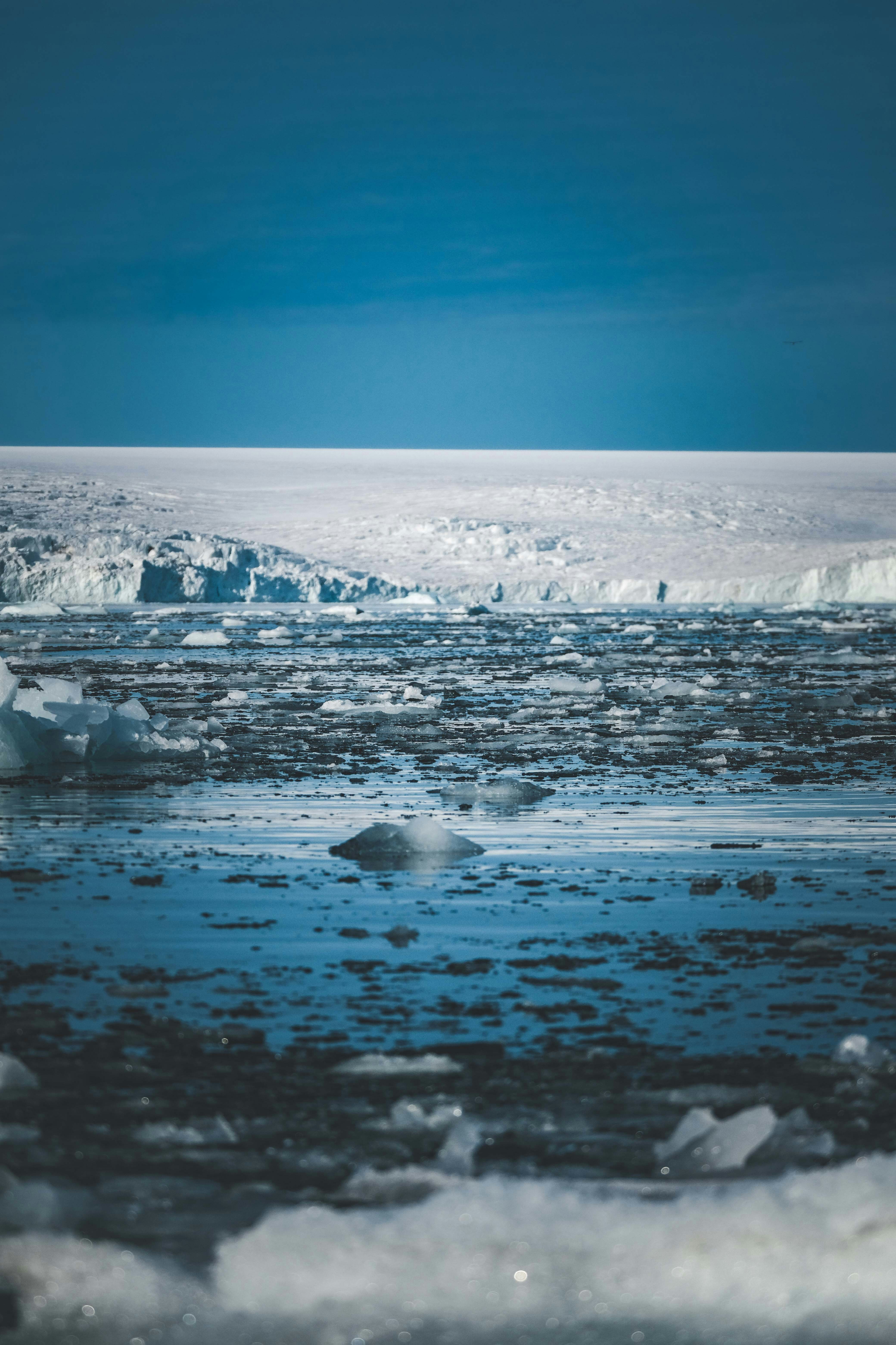 Photo by francesco_ungaro