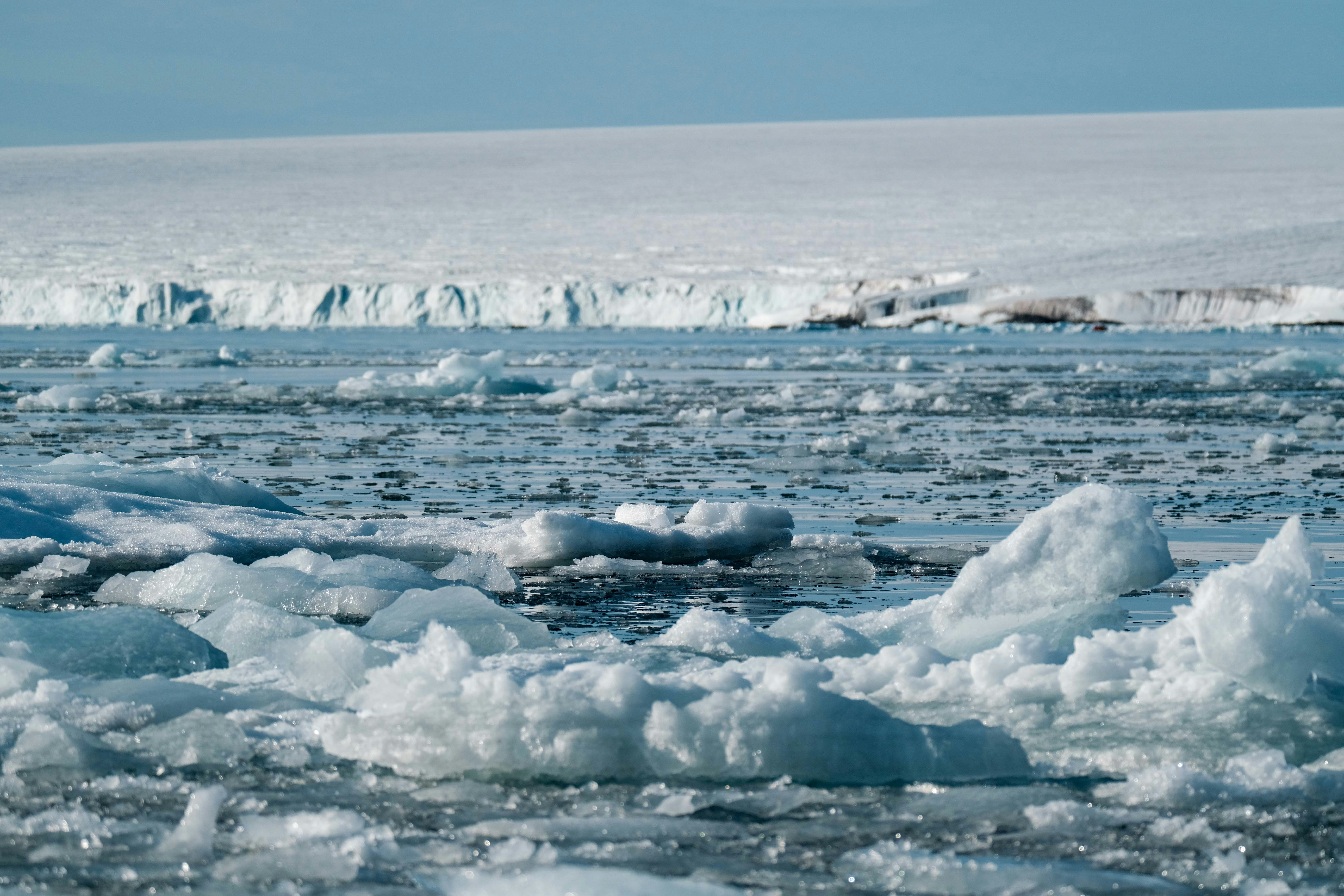 Photo by francesco_ungaro