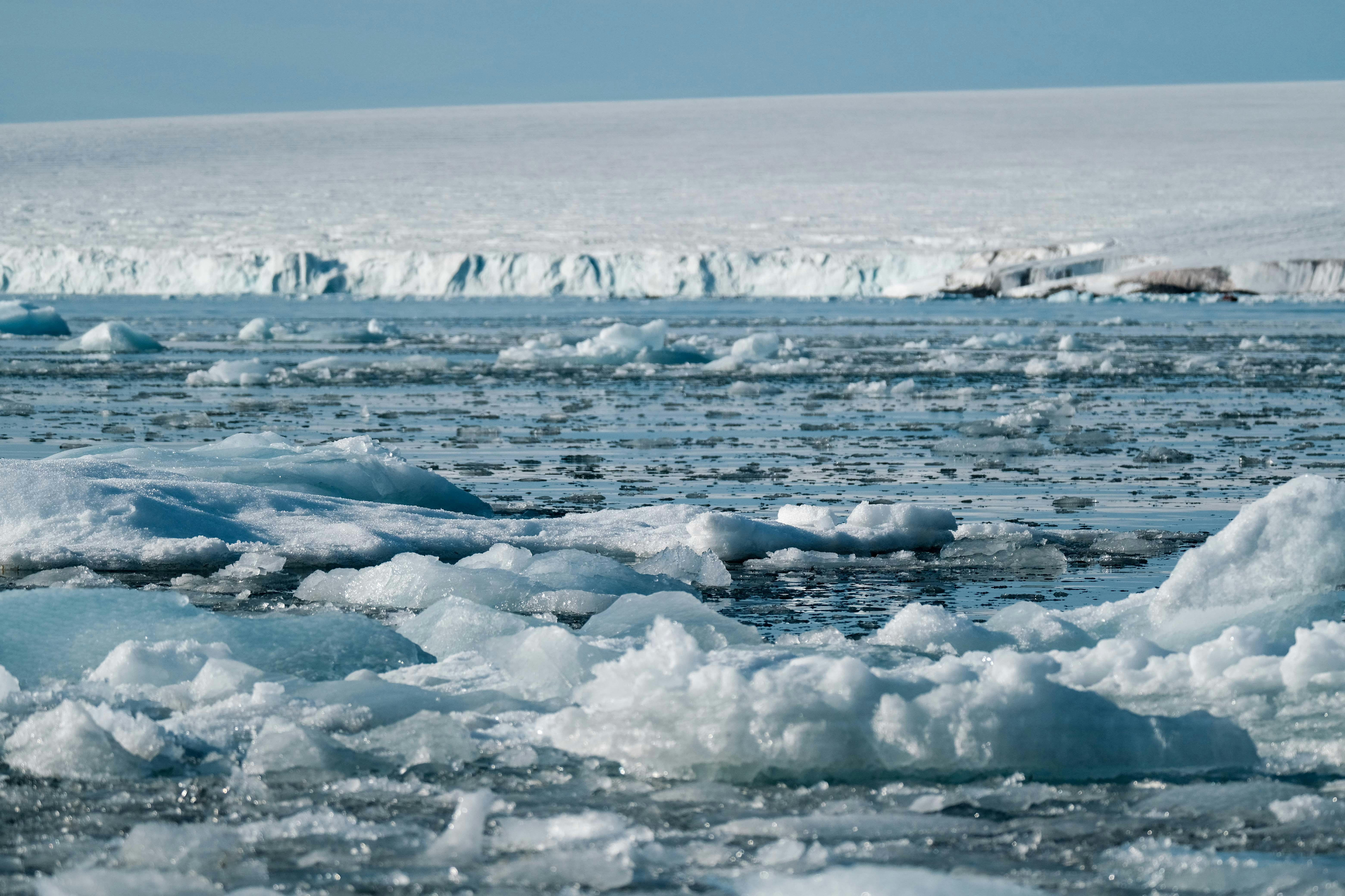 Photo by francesco_ungaro