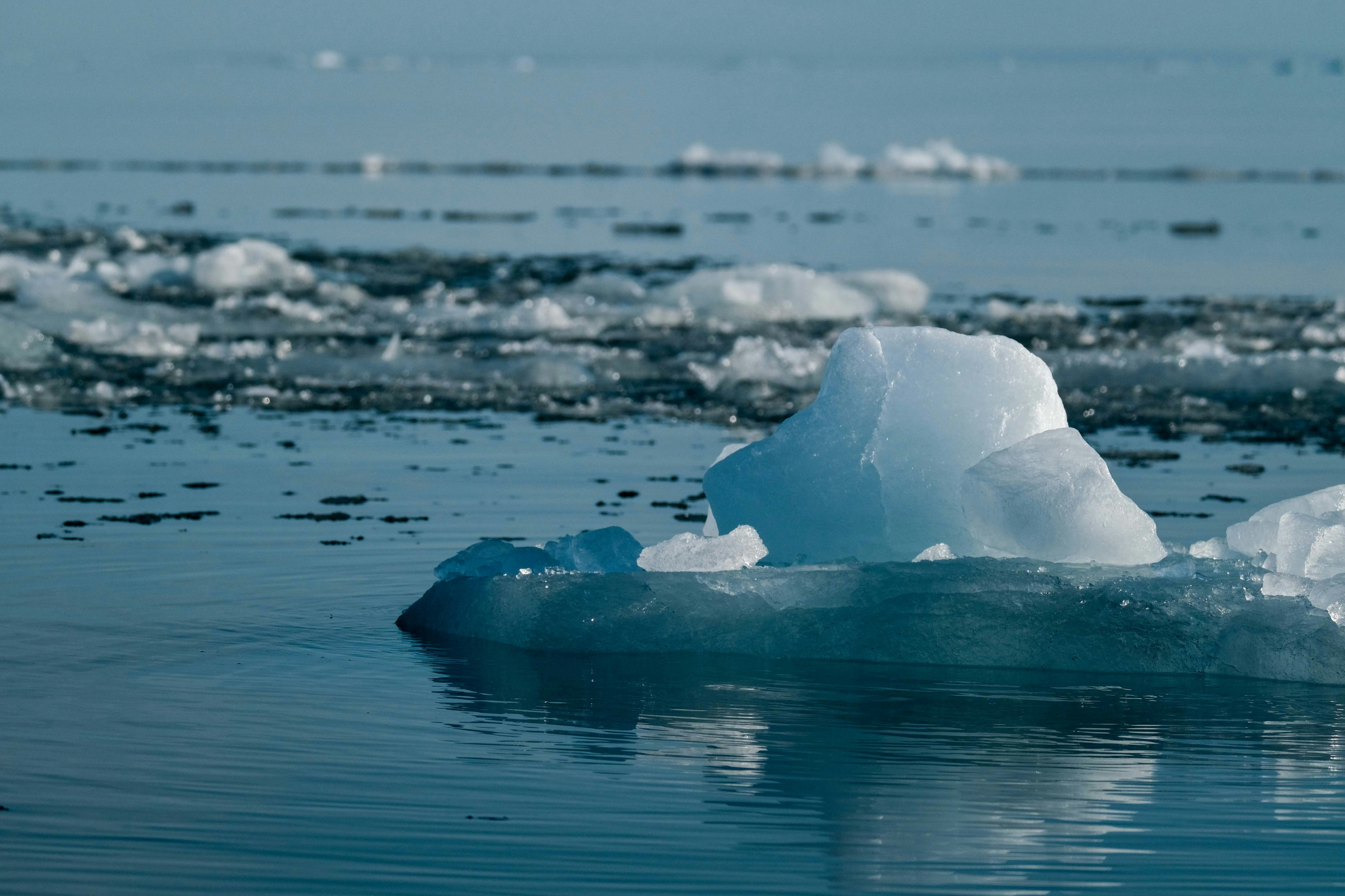 Photo by francesco_ungaro