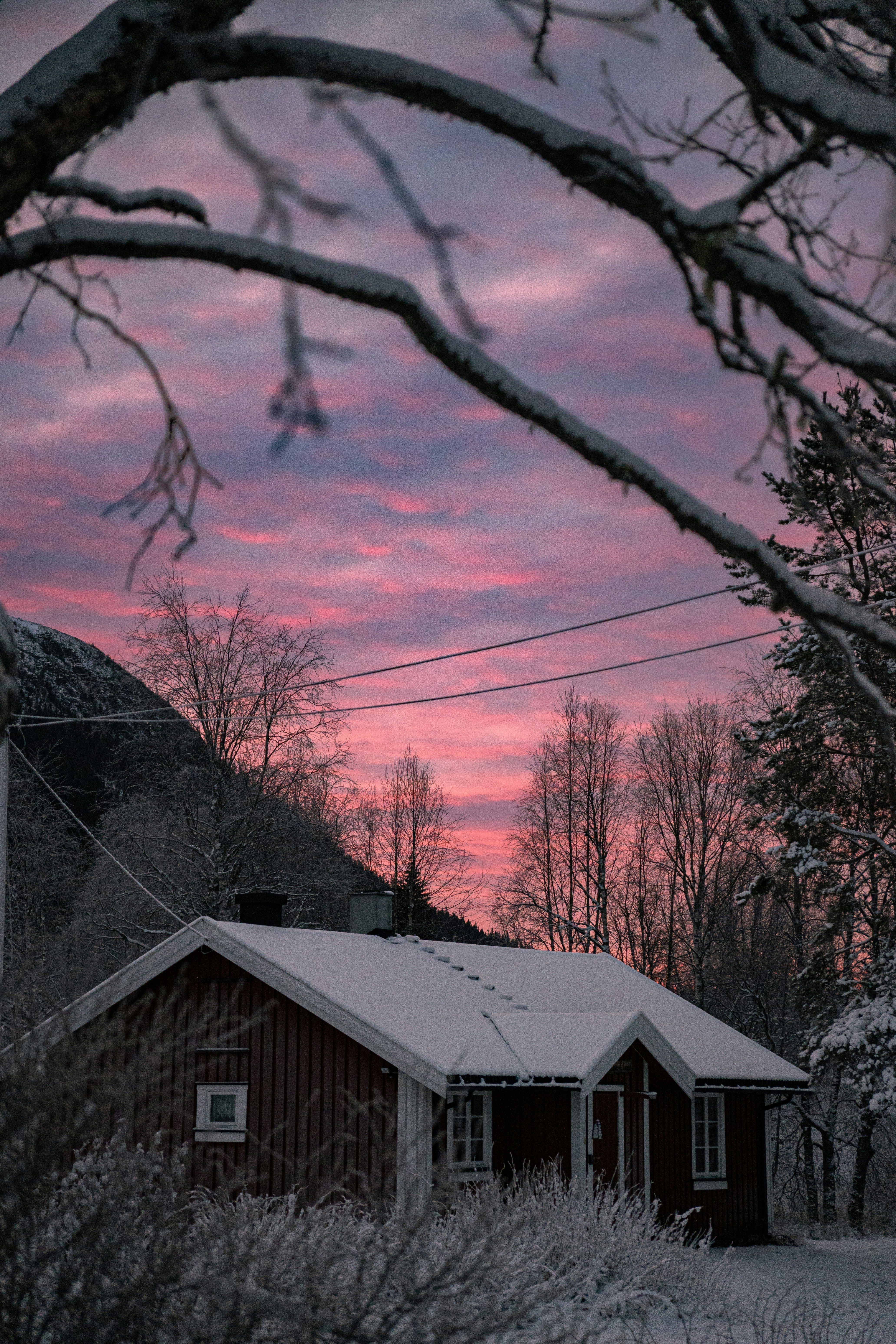 Photo by fr1d1