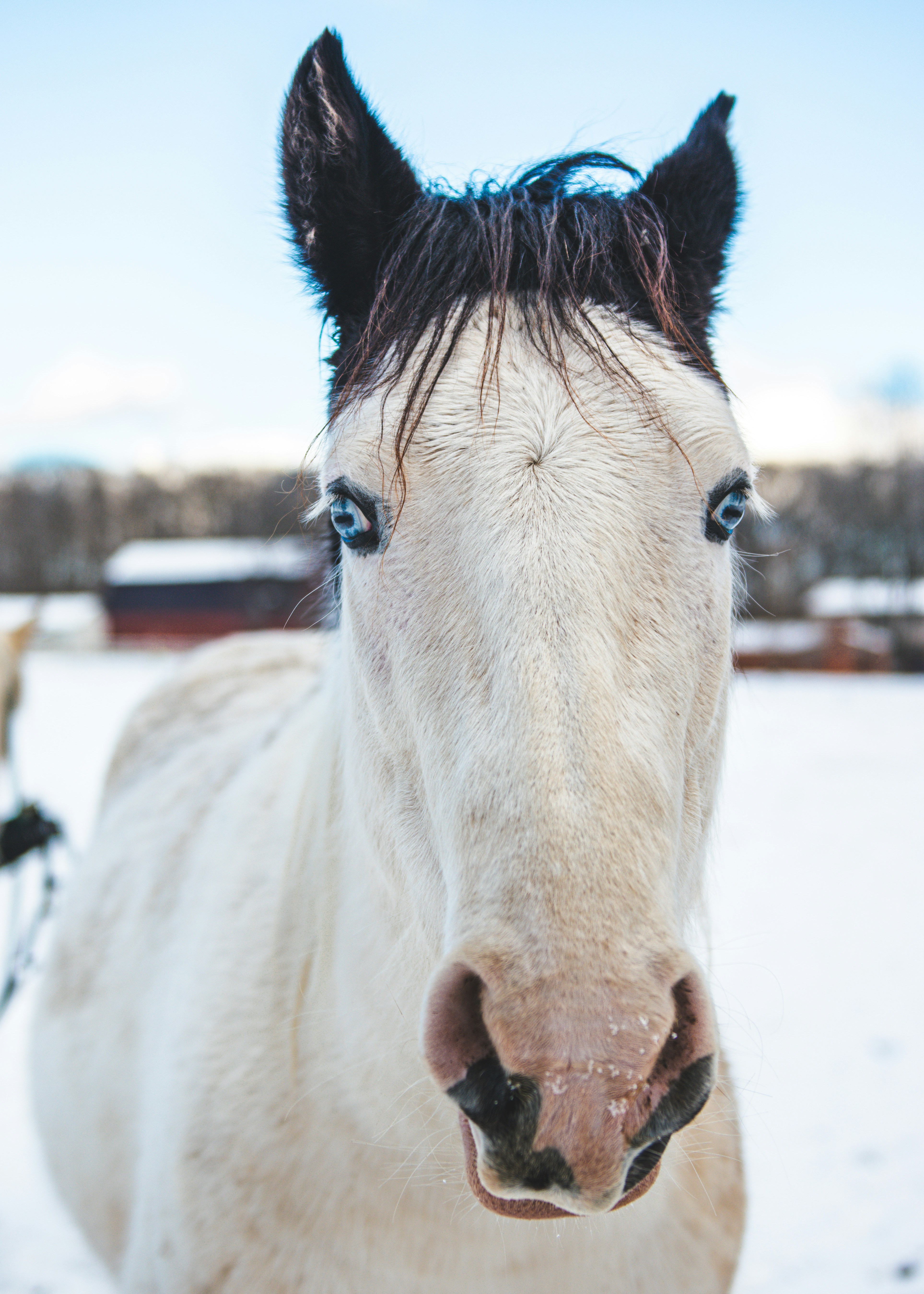 Photo by freefolkphoto