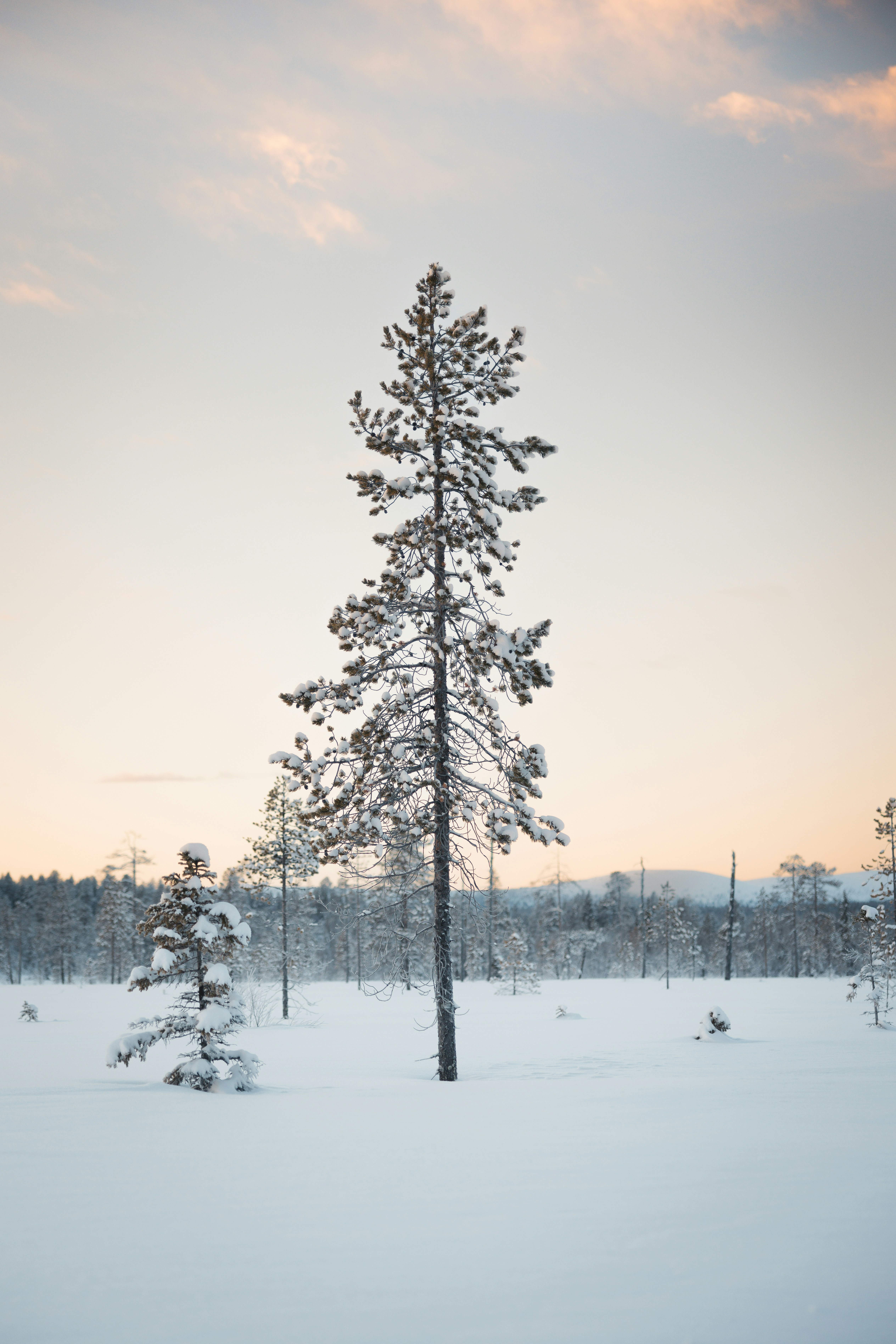 Levi – Transportation & Getting Around