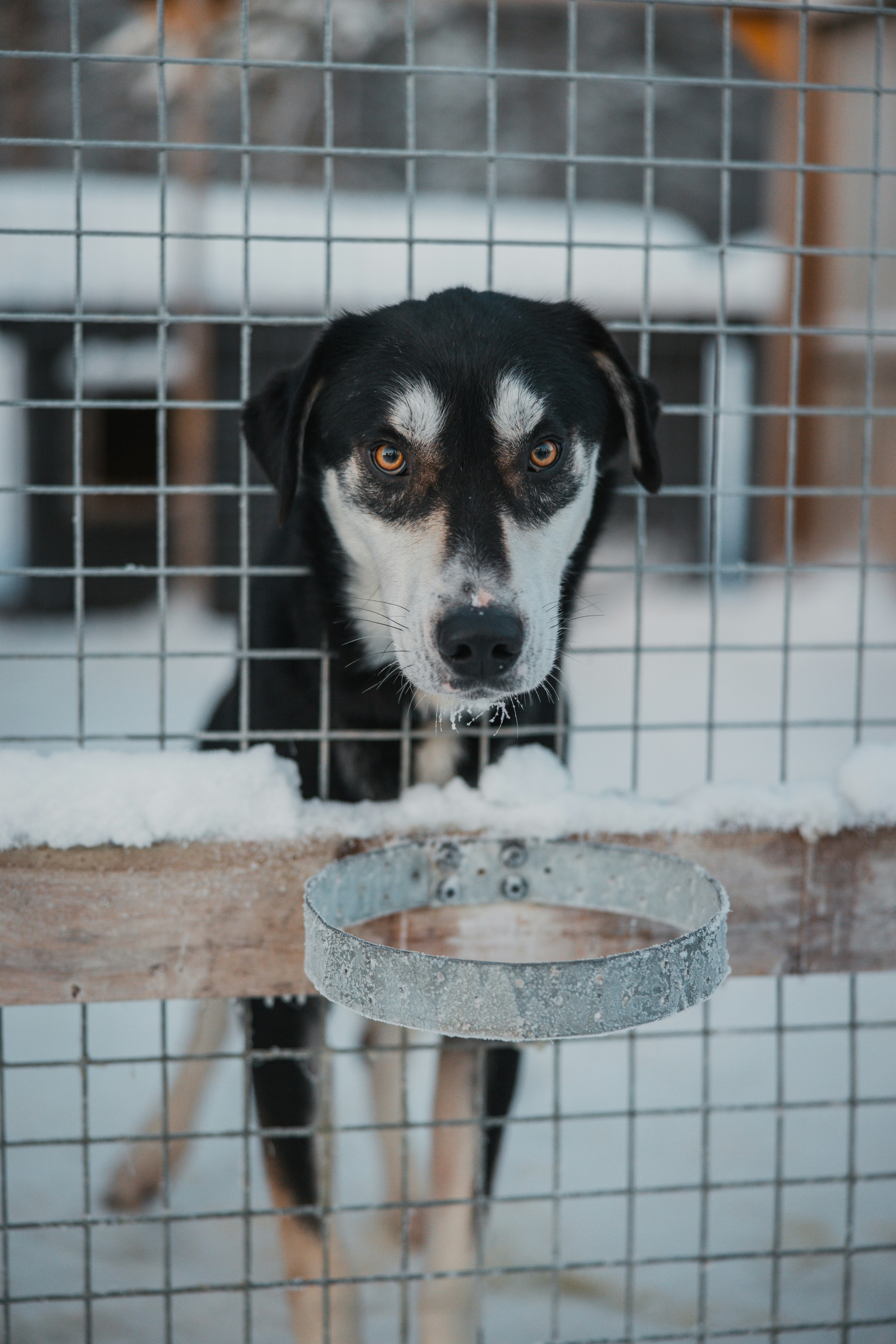 Photo by janoschphotos