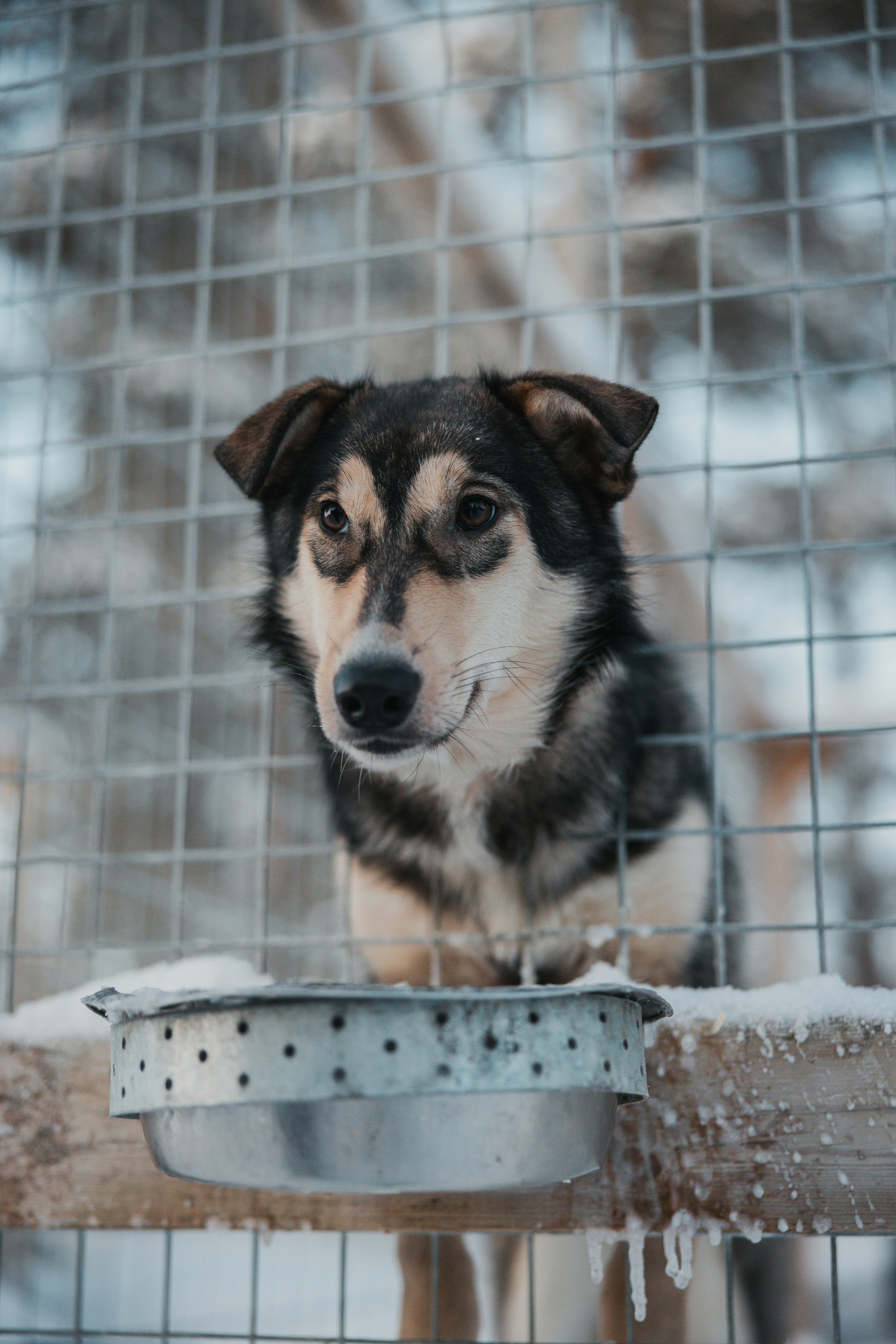 Photo by janoschphotos