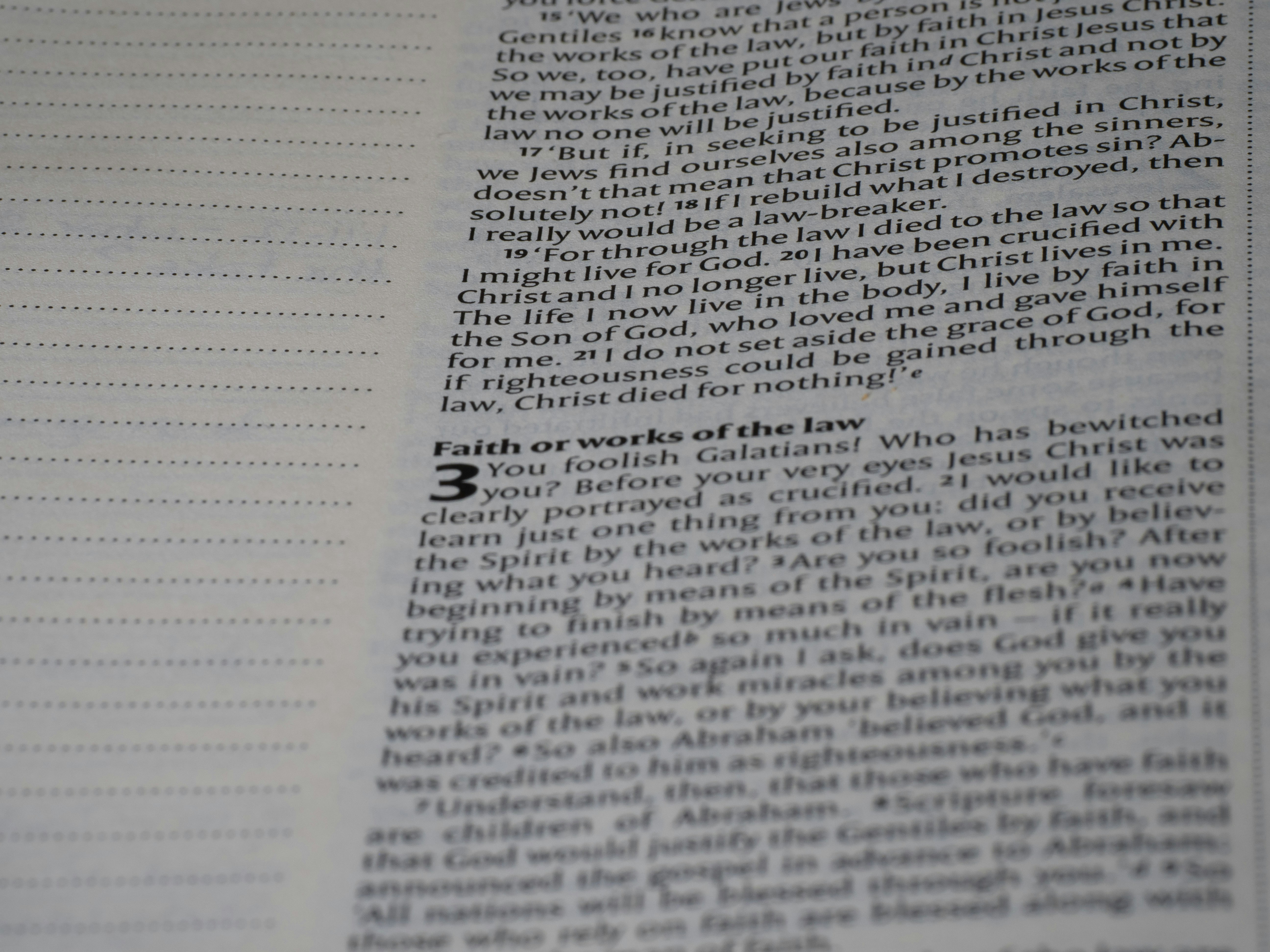 Photo by brett_jordan