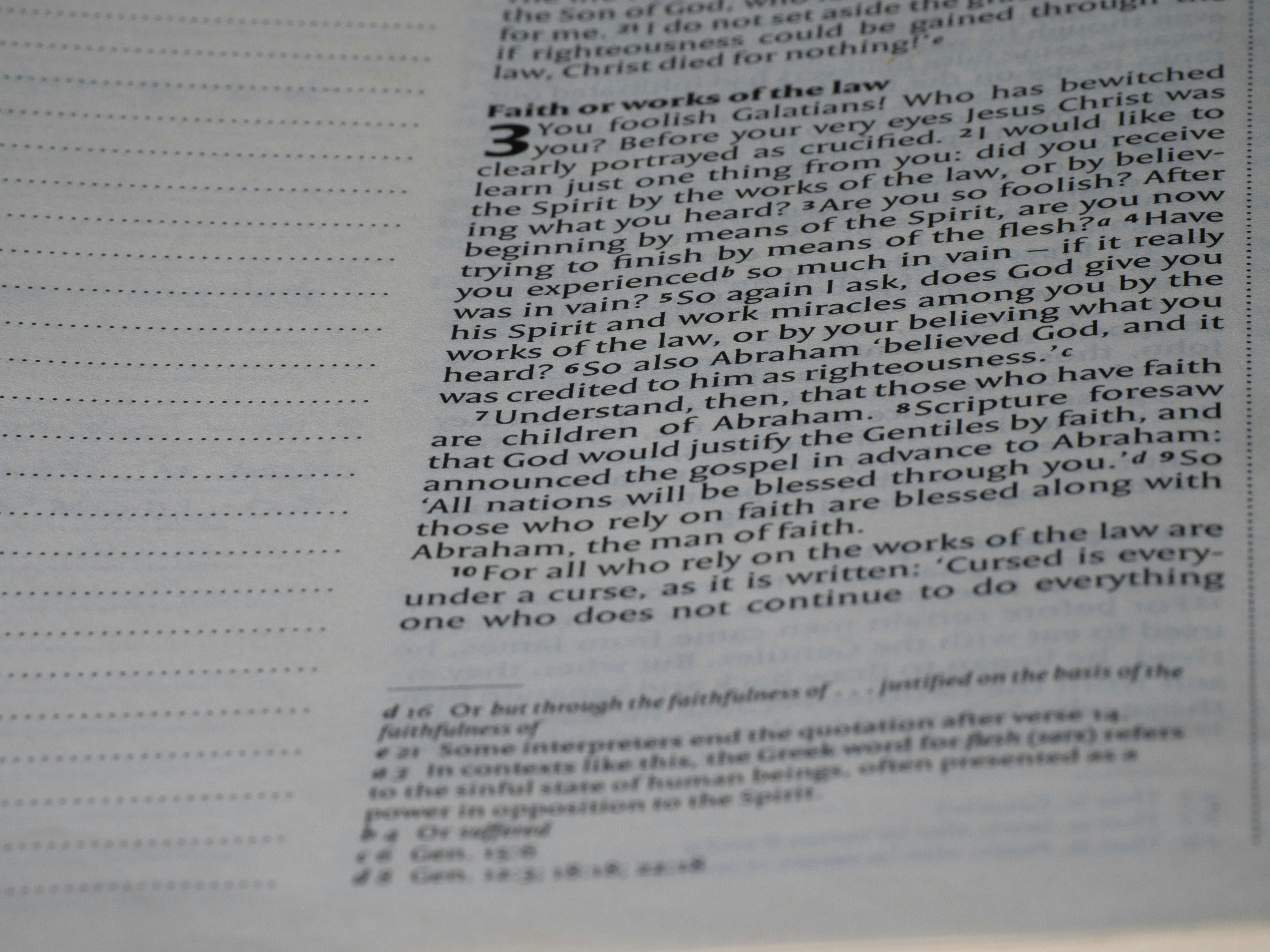 Photo by brett_jordan