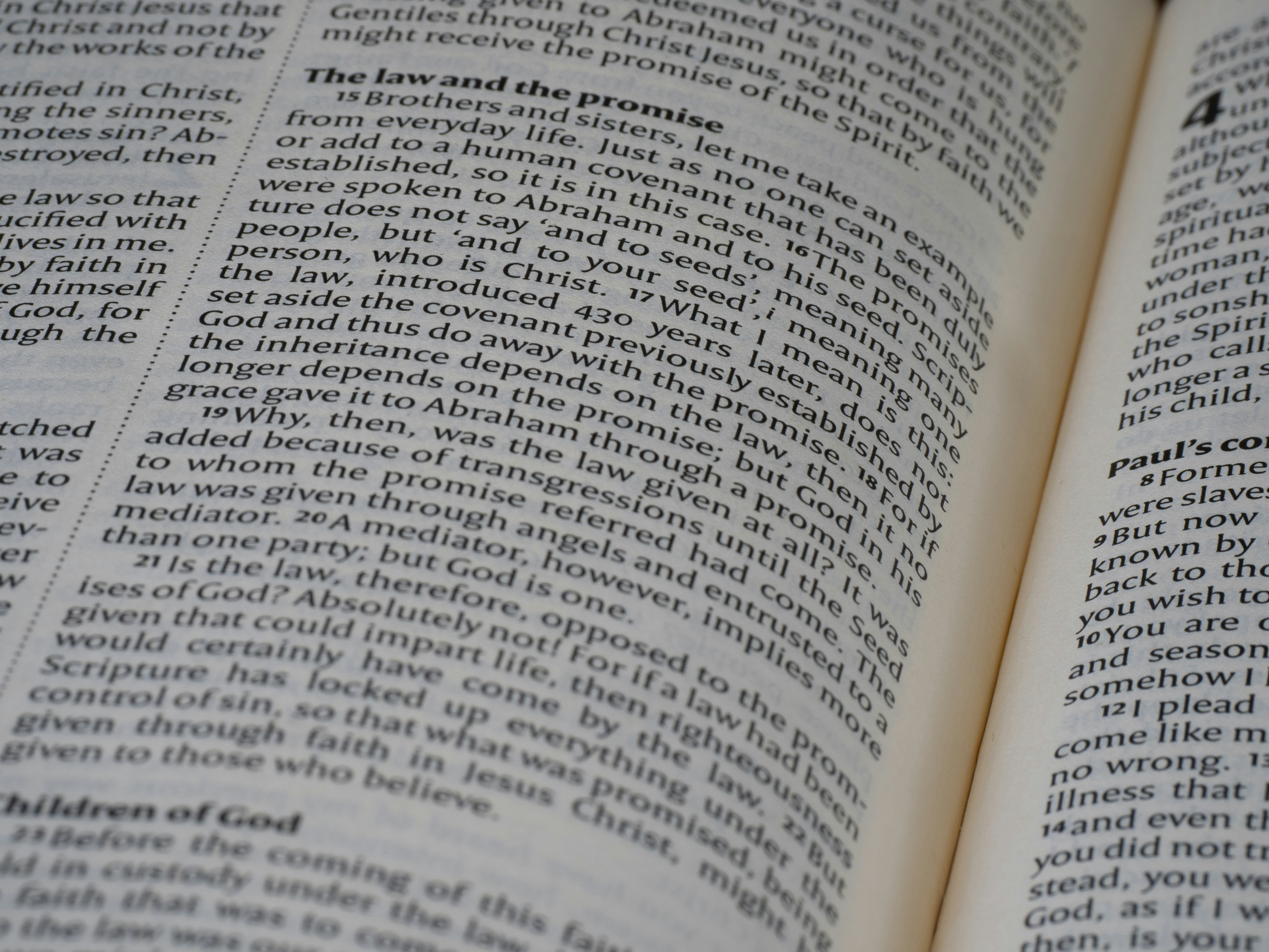 Photo by brett_jordan