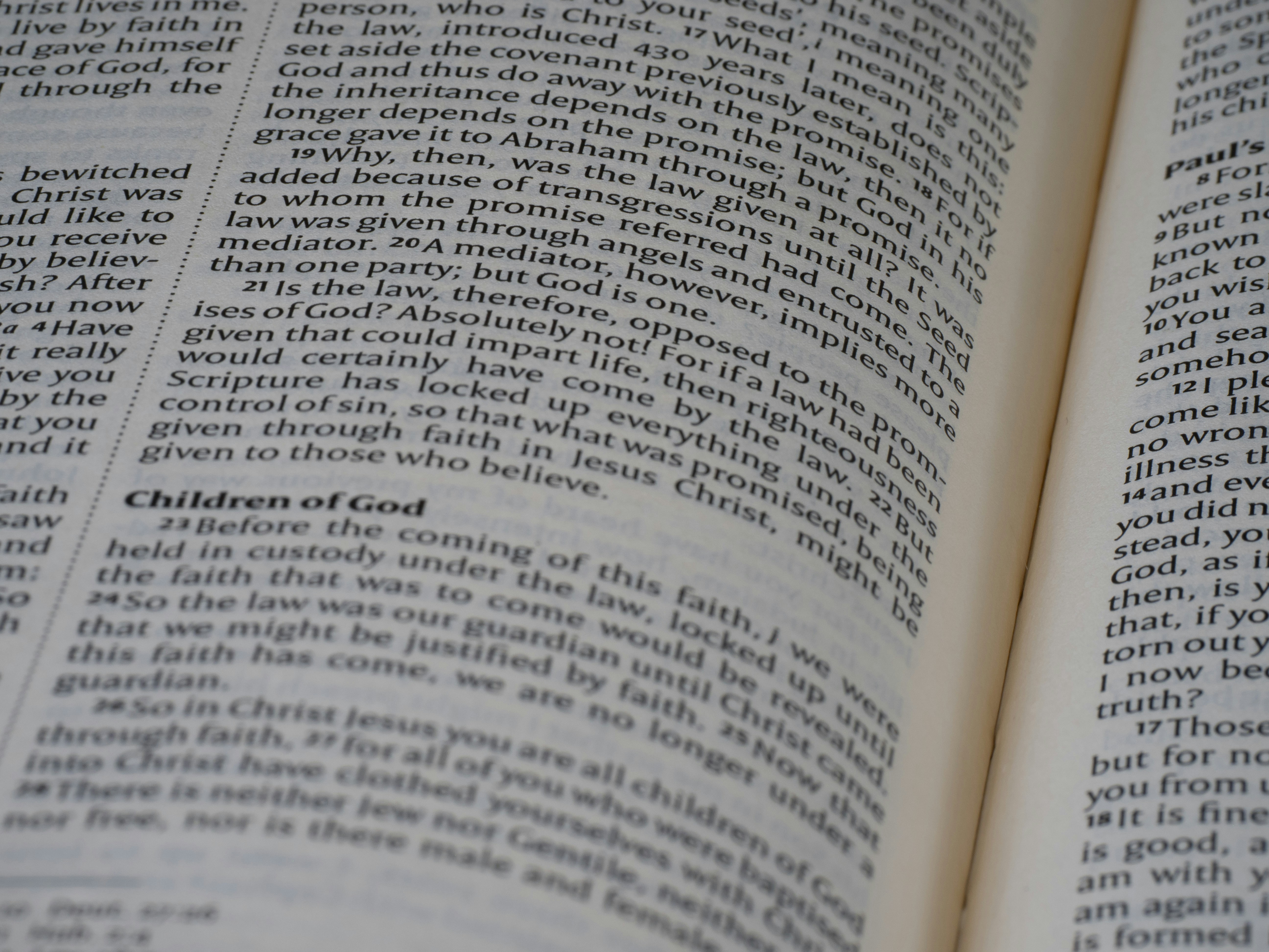 Photo by brett_jordan