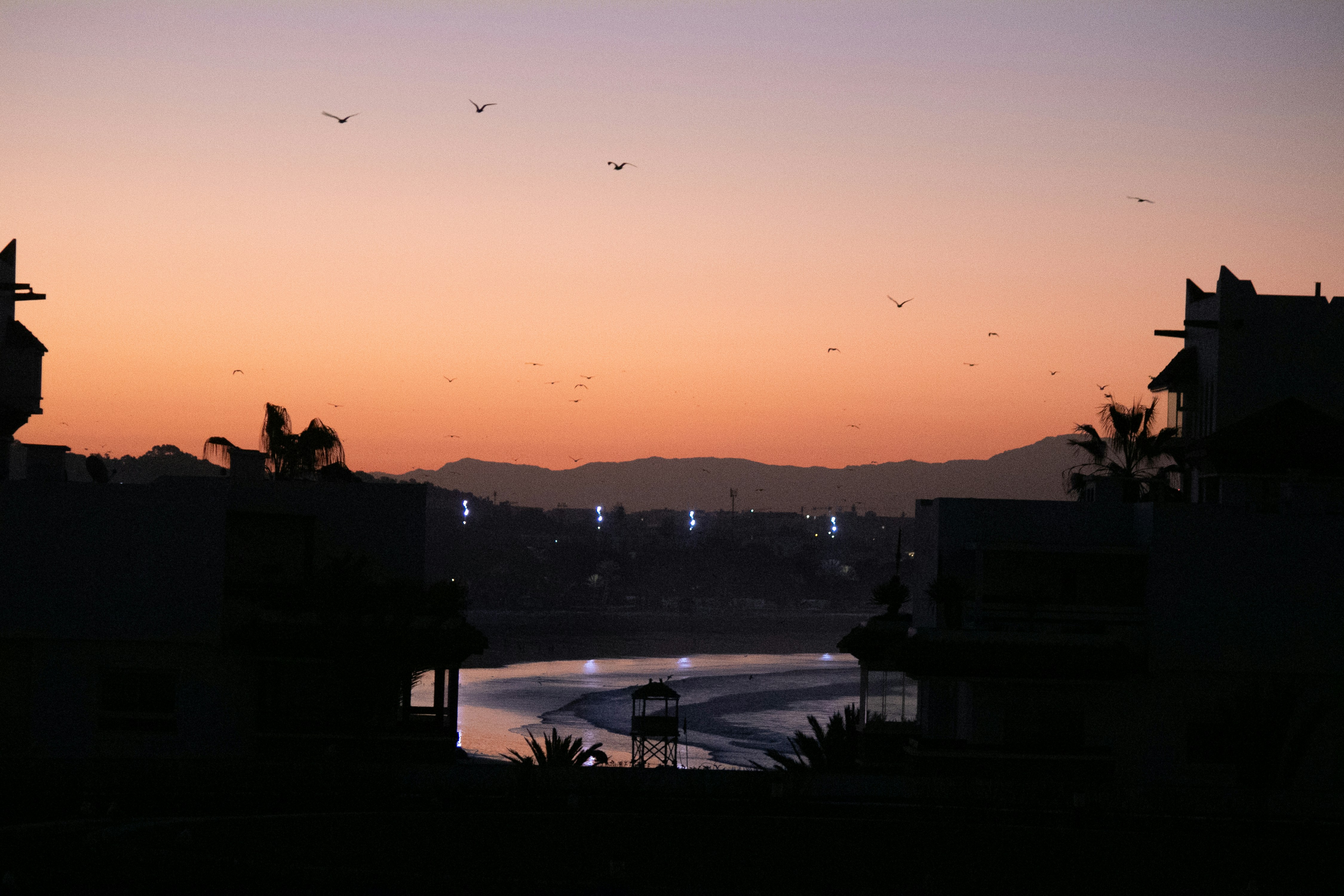 Photo by wlkr_photography